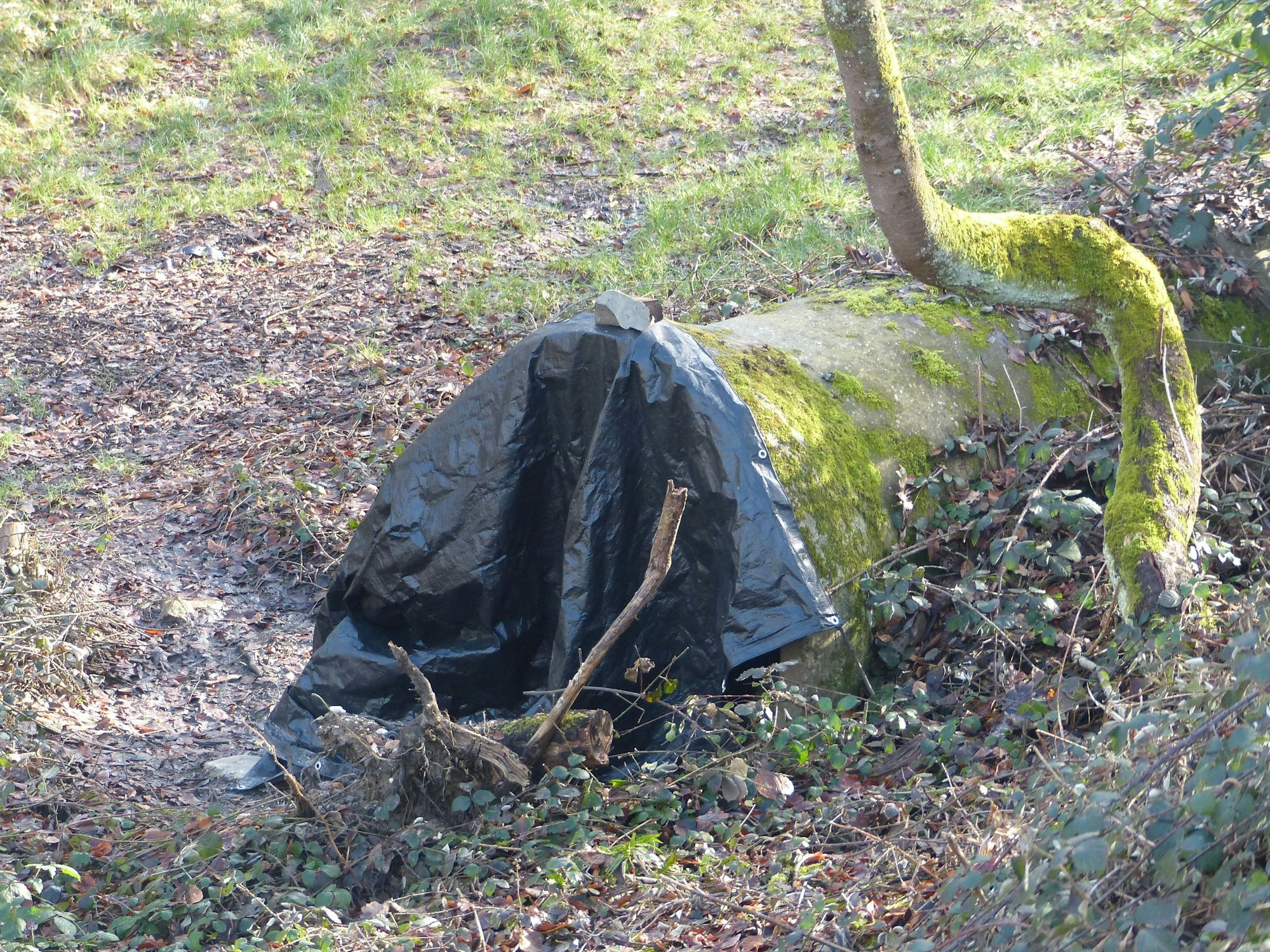 Ein altes Betonrohr ist mit Moos und einer Plane überdeckt.