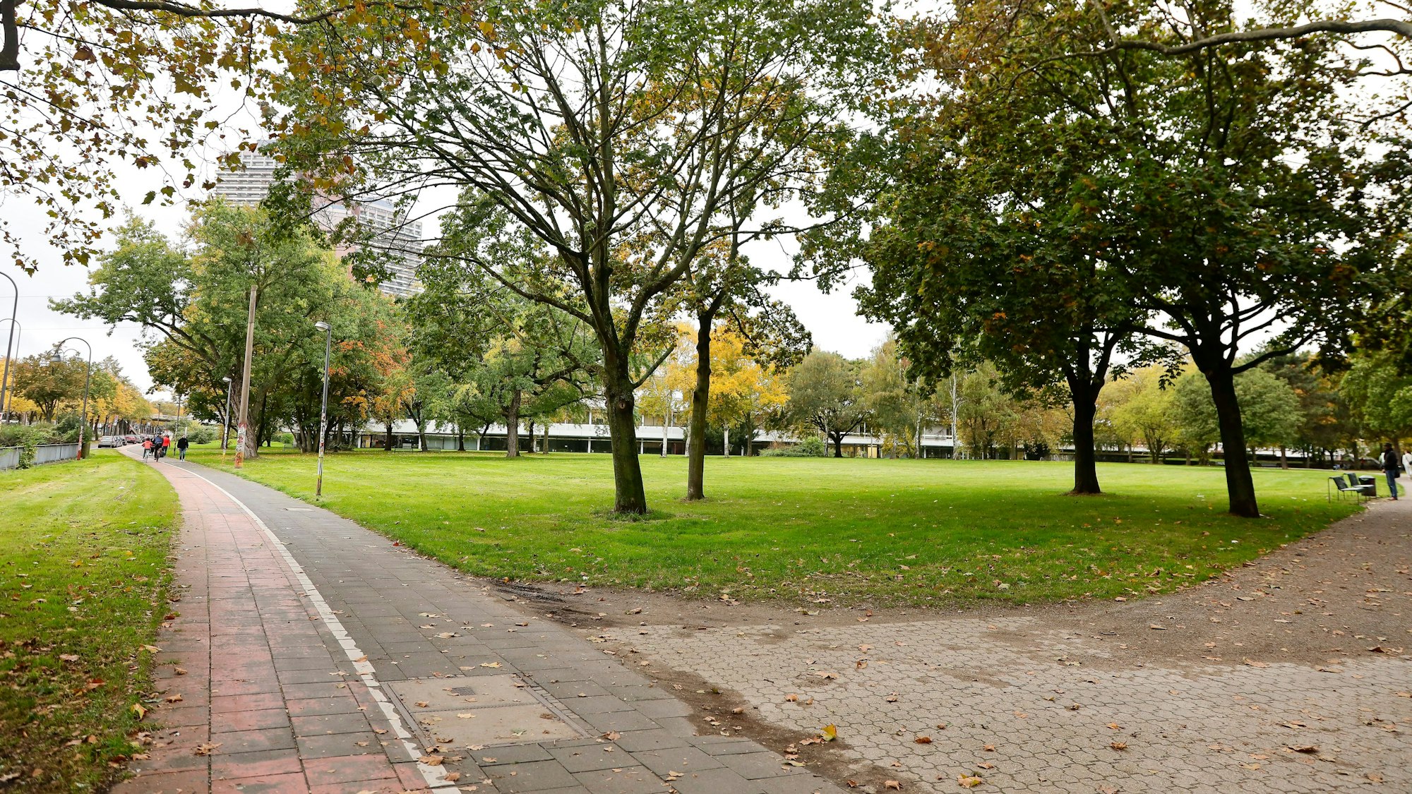 Der Bereich der Uniwiesen im Inneren Grüngürtel.