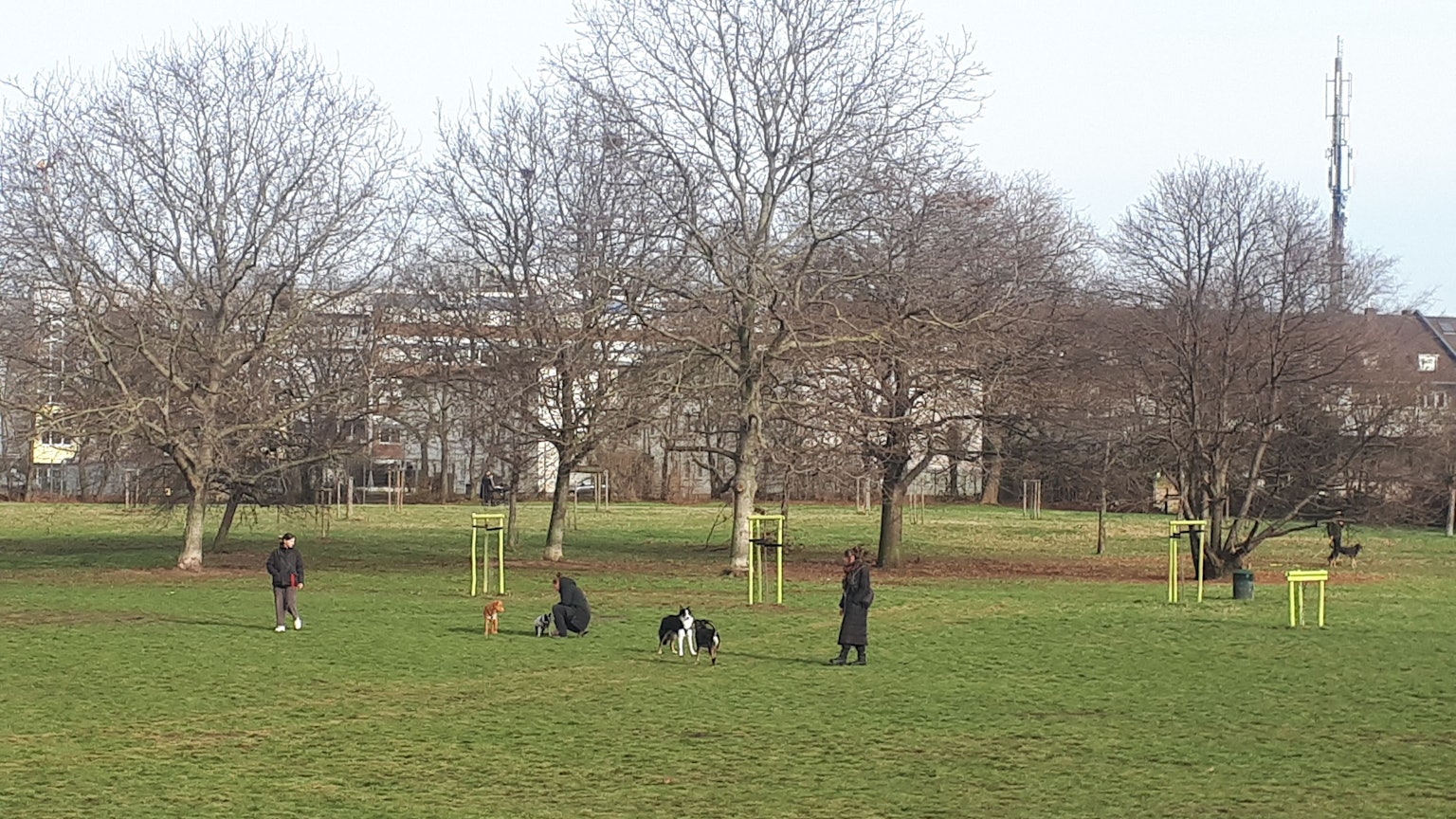 Die Hunde-Freilauffläche, derzeit auf der großen Wiese in der Mitte des Parks, soll ganz in den Süden des Giesbertsparks, nahe der Florastraße, umziehen. (Archivbild)