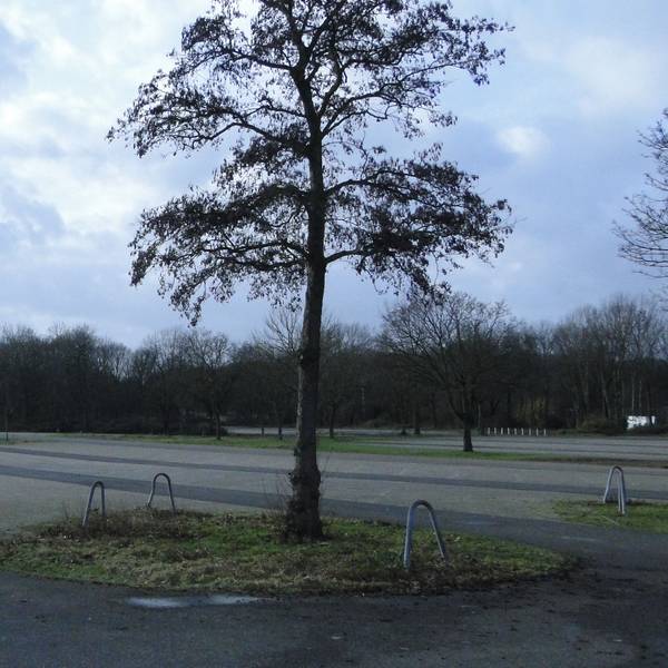 Parkplatz am Fühlinger See
