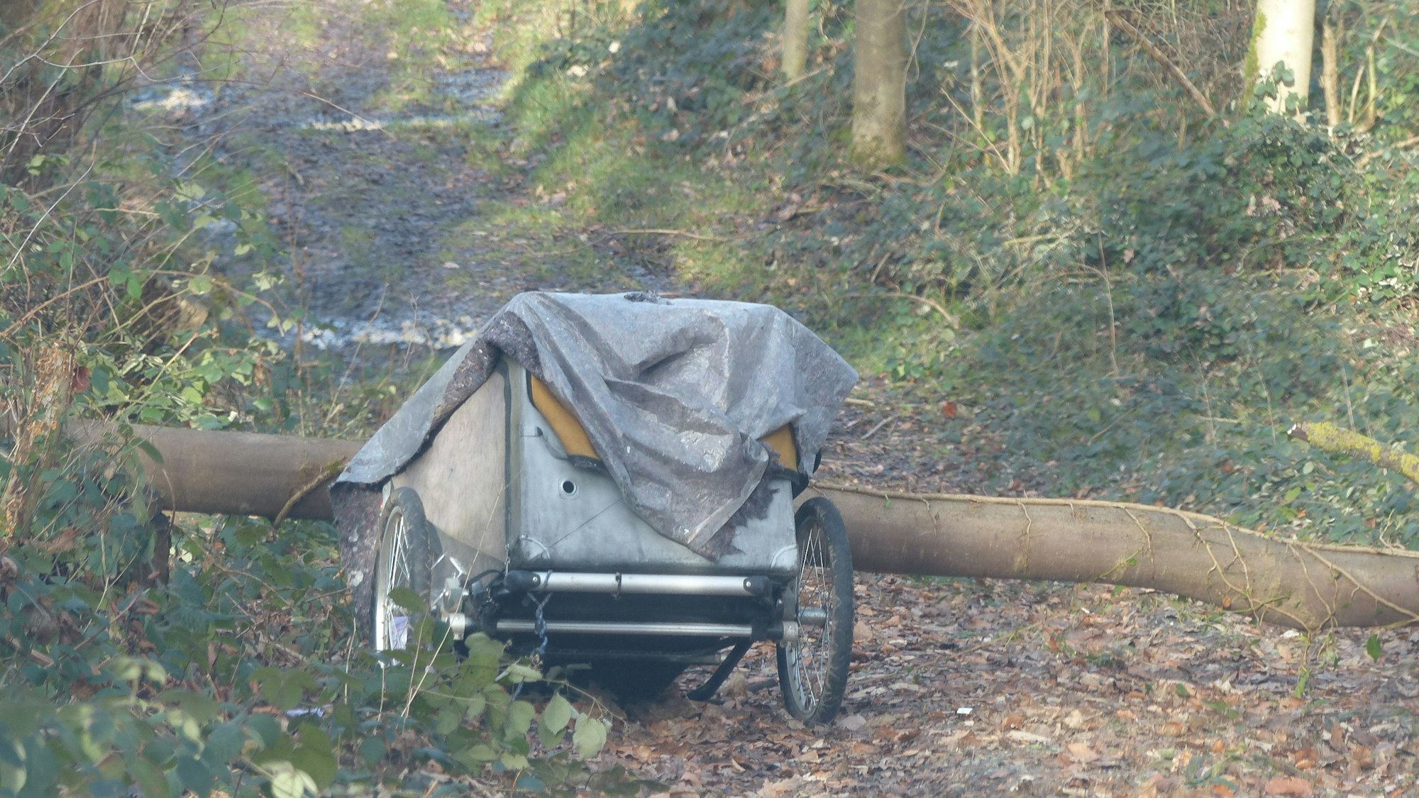 Ein Fahrradanhänger steht auf einem Waldweg.