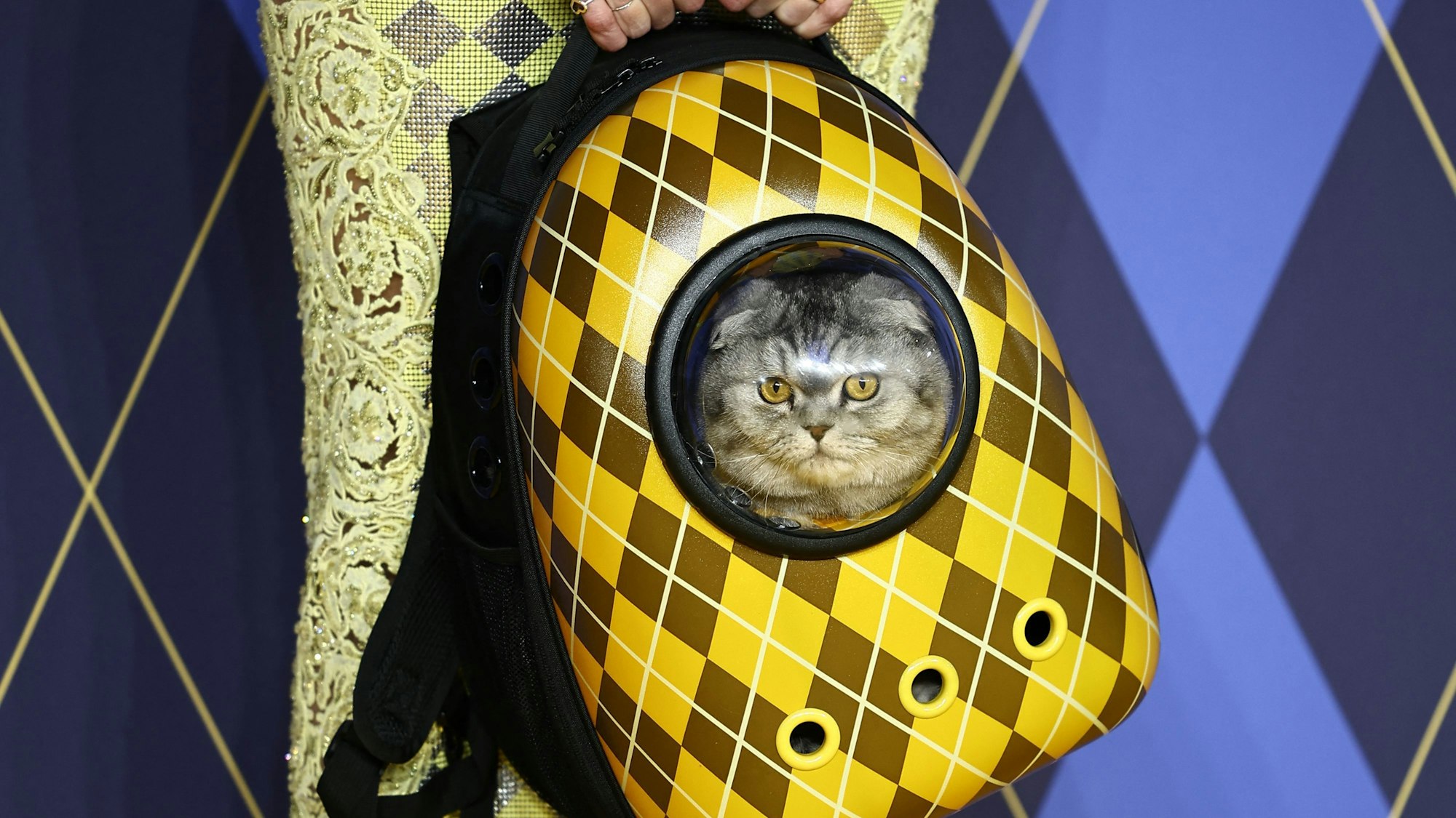 German model Claudia Schiffer holds a cat in a backpack as she poses on the red carpet upon arrival to attend the world premiere of the film "Argylle" in central London on January 24, 2024. (Photo by HENRY NICHOLLS / AFP)