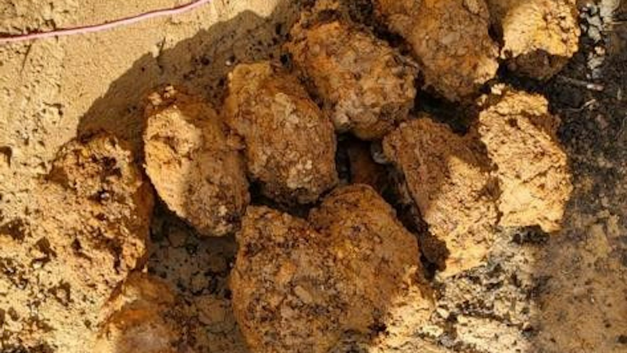 Das Foto zeigt Granaten, die bei Bauarbeiten in Brühl-Vochem im Erdreich gefunden worden waren.