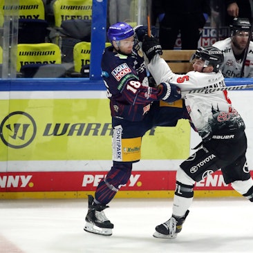 Kölns Robin van Calster in einer Auseinandersetzung mit Jonas Müller von denEisbären Berlin.