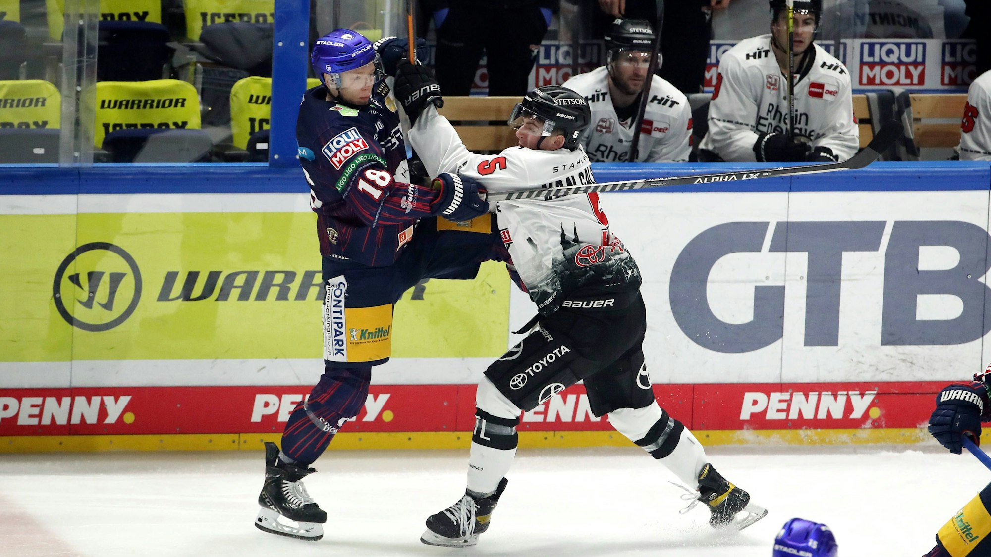 Kölns Robin van Calster in einer Auseinandersetzung mit Jonas Müller von denEisbären Berlin.