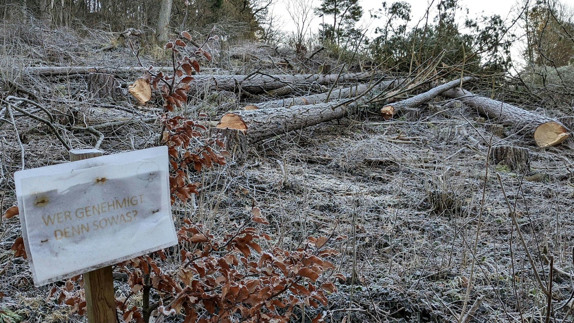 Auf einem Grundstück liegen mehrere gefällte Bäume, im Vordergrund steht ein Schild mit der Aufschrift „Wer genehmigt denn sowas?“