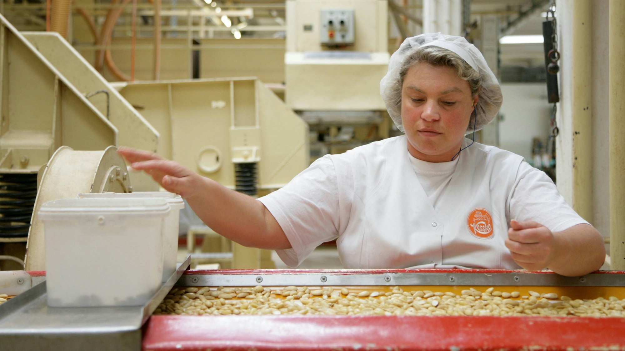 Eine Frau sortiert Erdnüsse in einer Fabrikhalle von Kessko in Bonn-Beuel. Sie trägt weiße Arbeitskleidung.