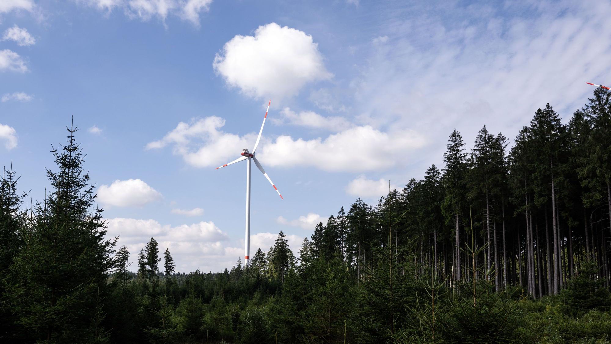 Ein Windrad steht auf einer Waldlichtung