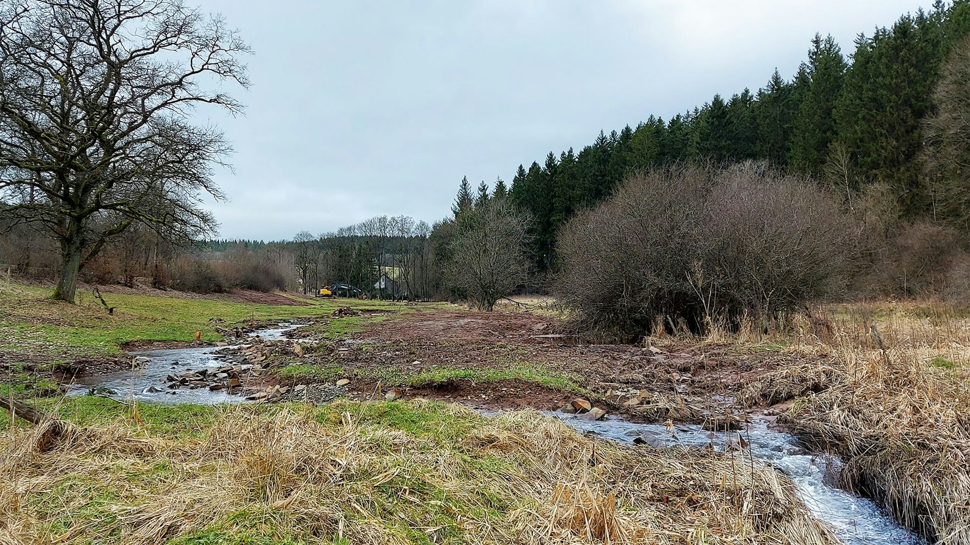 Das Bild zeigt den renaturierten Bach Berke bei Dahlem.