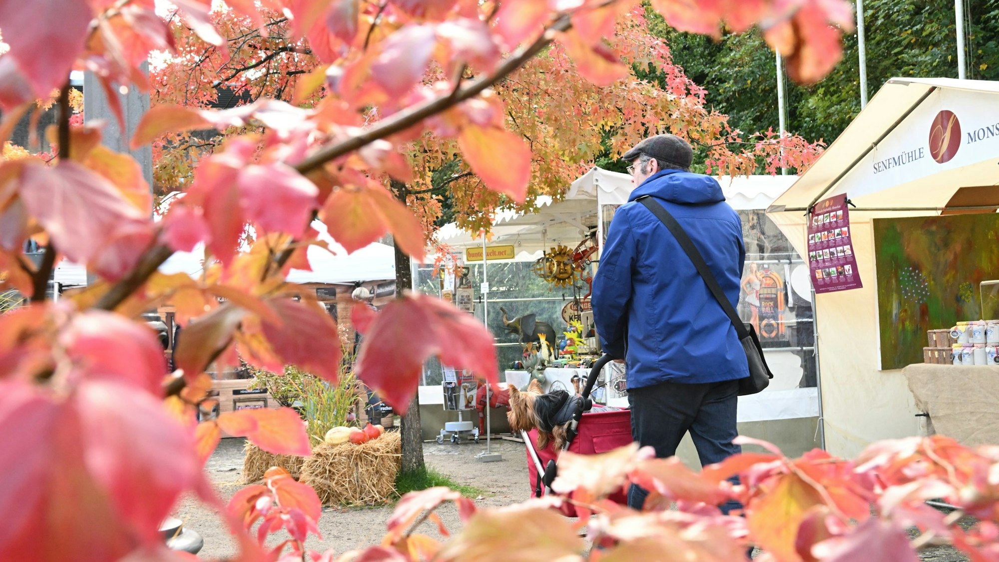 Herbstmarkt Rösrath Schloß Eulenbroich