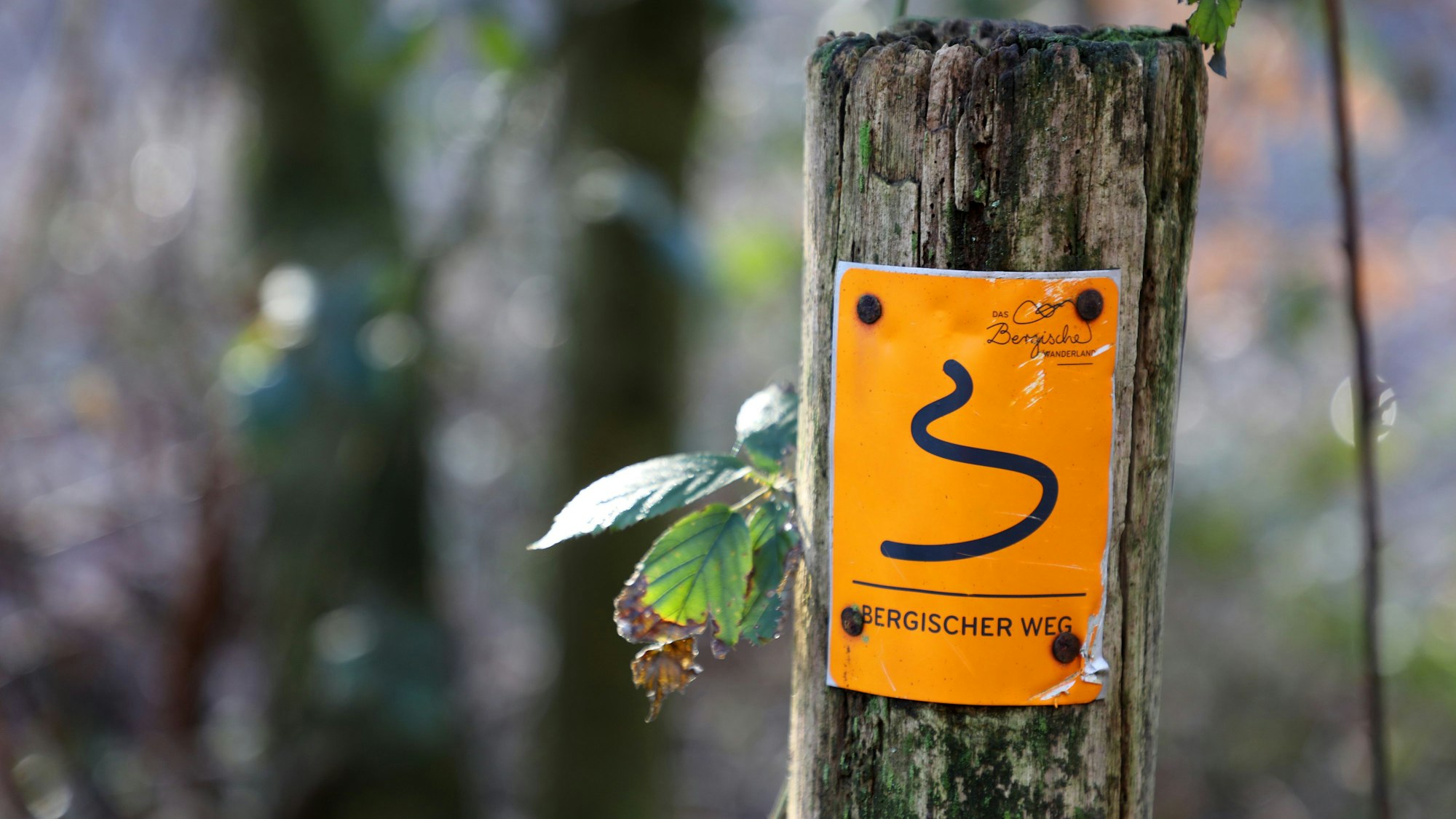 Ein kleines oranges Hinweisschild weist den Weg