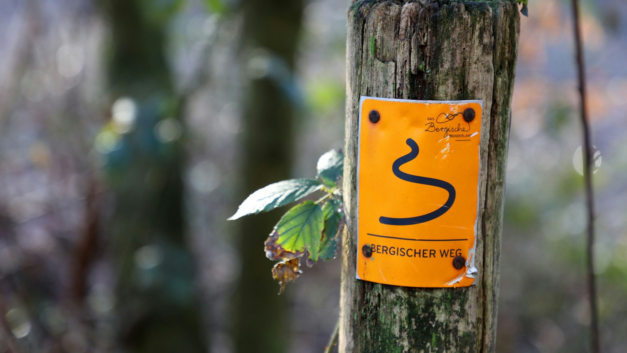 Unterwegs im Bergischen Land auf dem Fachwerkweg.