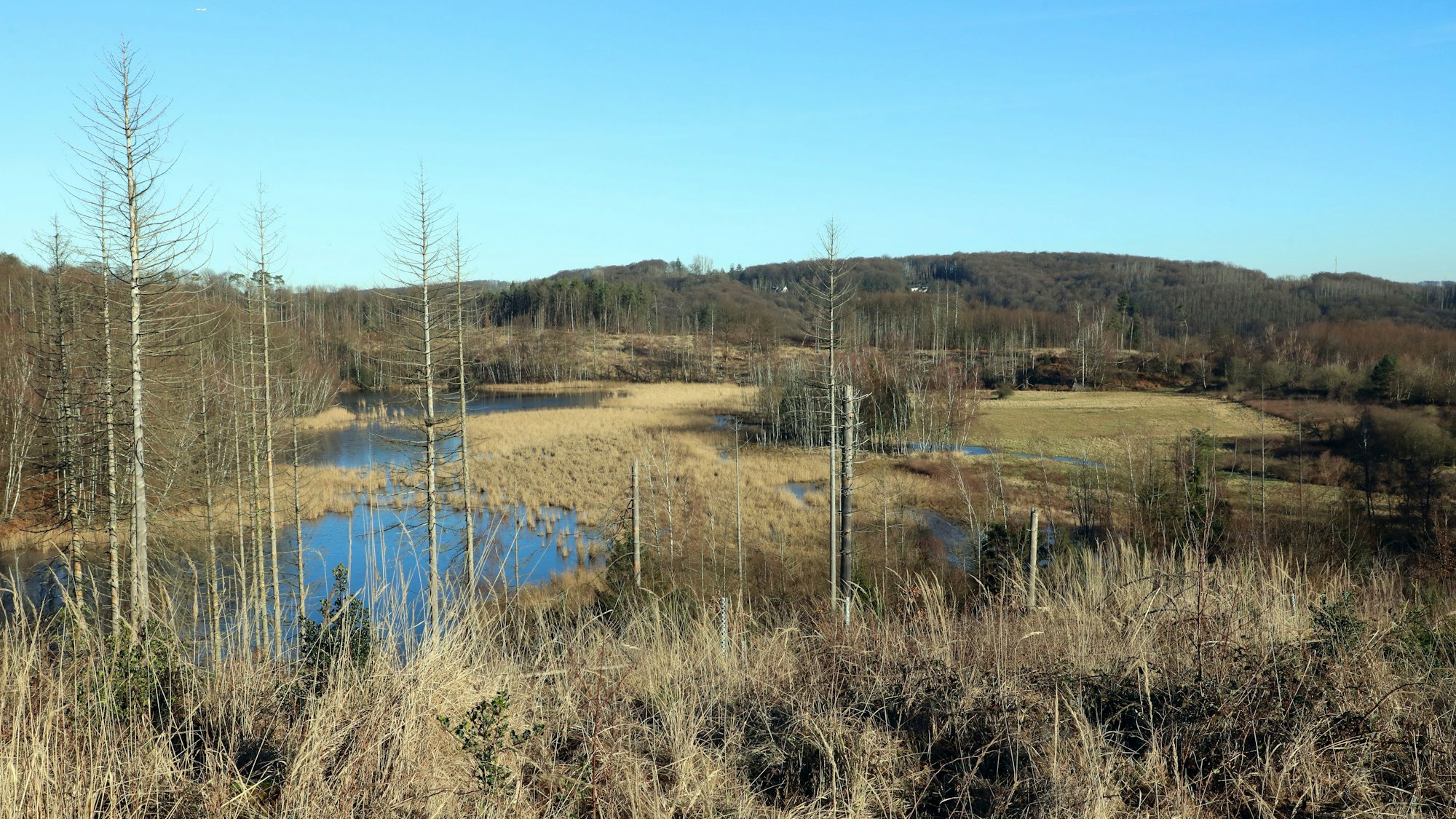 Blick auf ehemalige Klärteiche der Erzgrube Lüderich