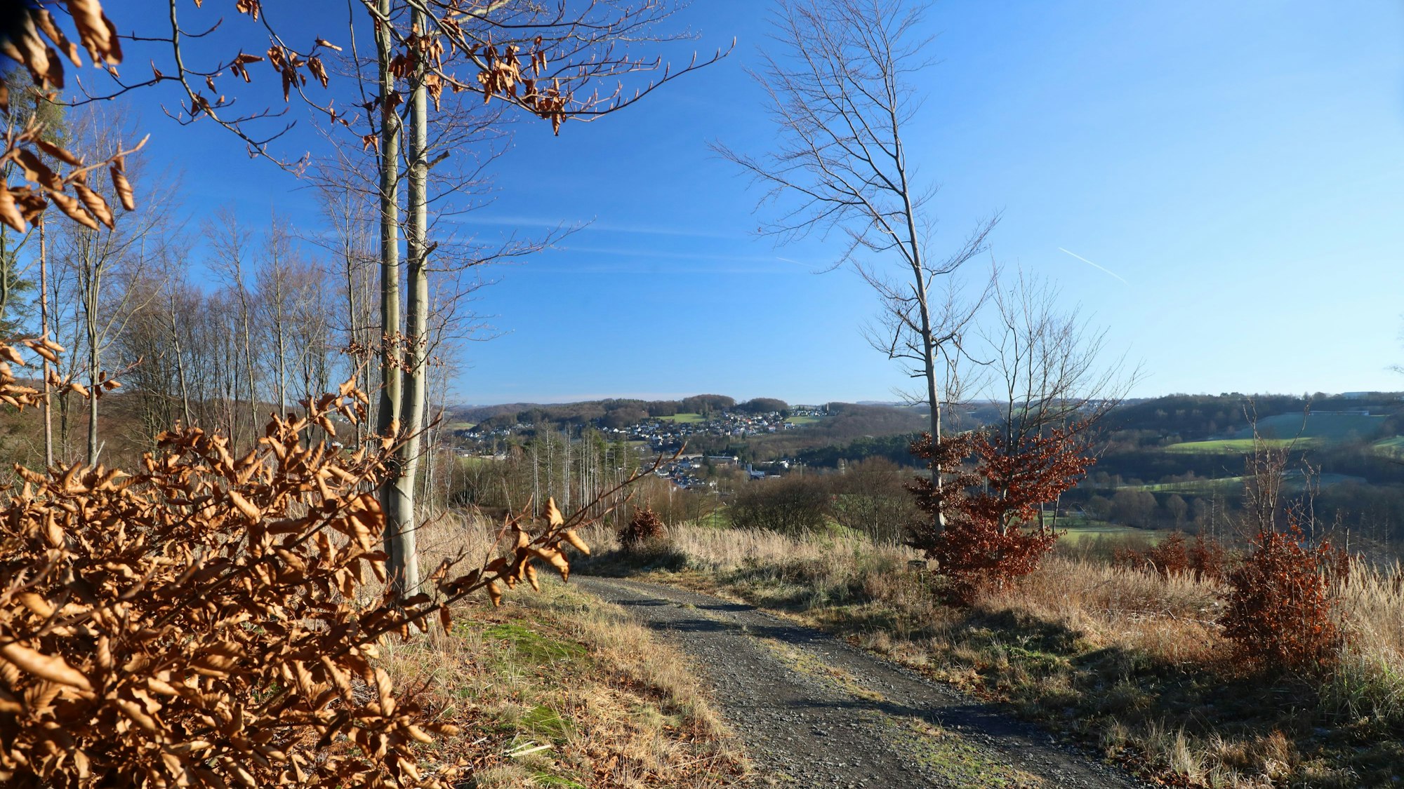 Blick ins Tal auf der Wanderroute