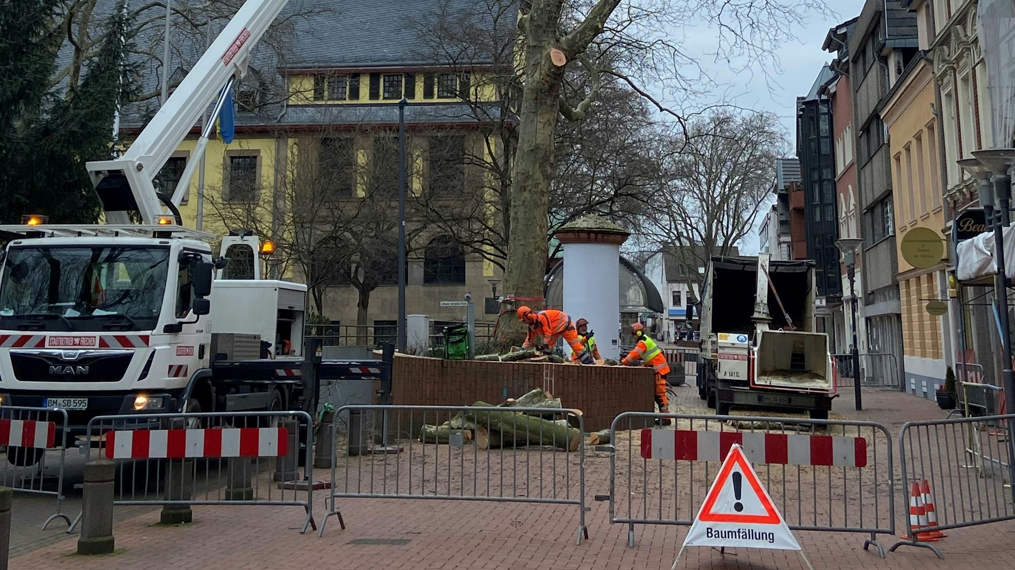 Auf dem Bild sind Fällarbeiten zu sehen.