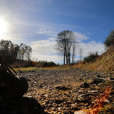 Wanderschuh auf dem Weg ins Tal, im Hintergrund scheint die Sonne