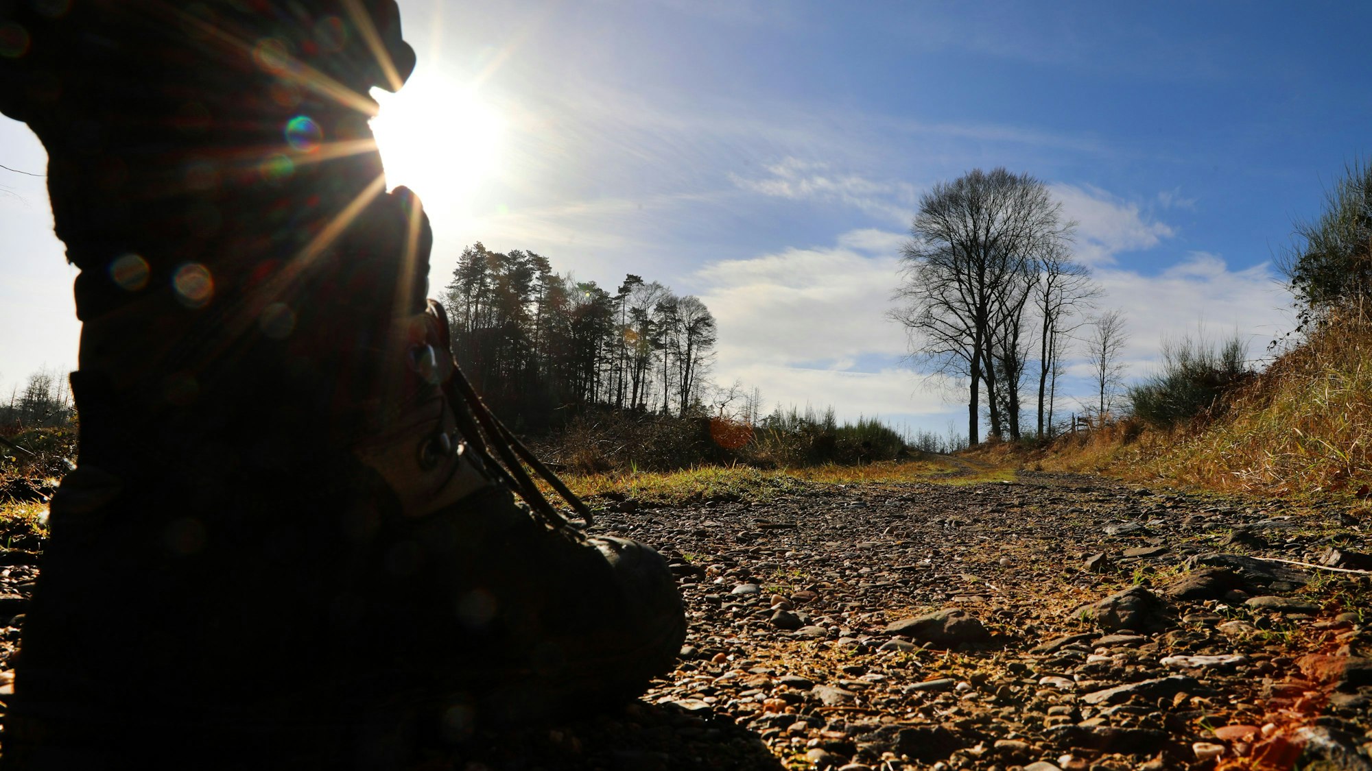 Wanderschuh auf dem Weg ins Tal, im Hintergrund scheint die Sonne