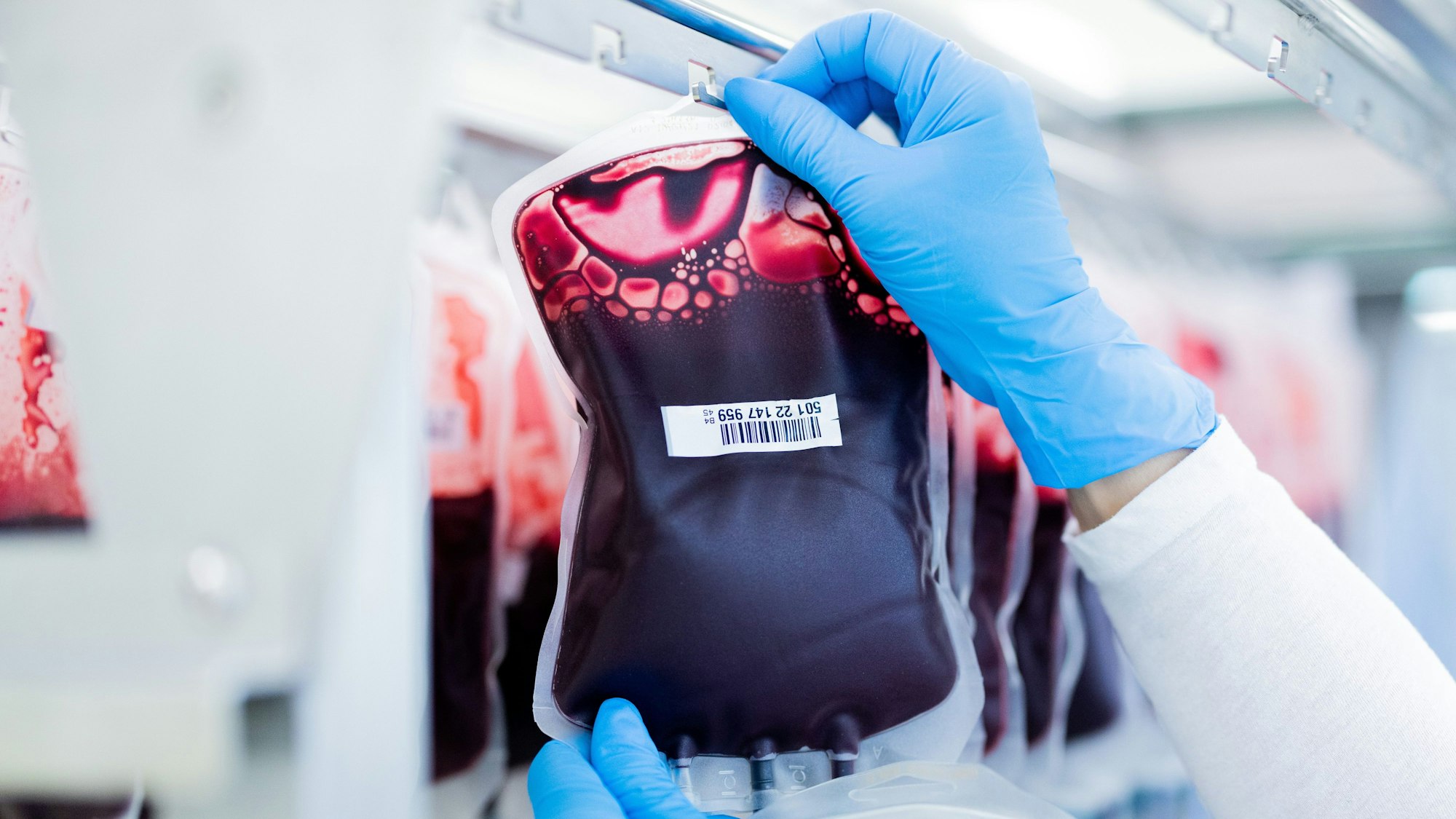 Blutkonserven werden im Zentrallabor des DRK-Blutspendedienstes für Krankenhäuser und Praxen gefiltert und aufbereitet.