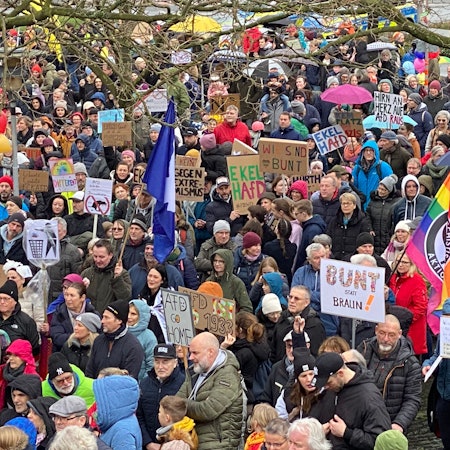 Auf dem Bild sind viele Demonstranten zu sehen.