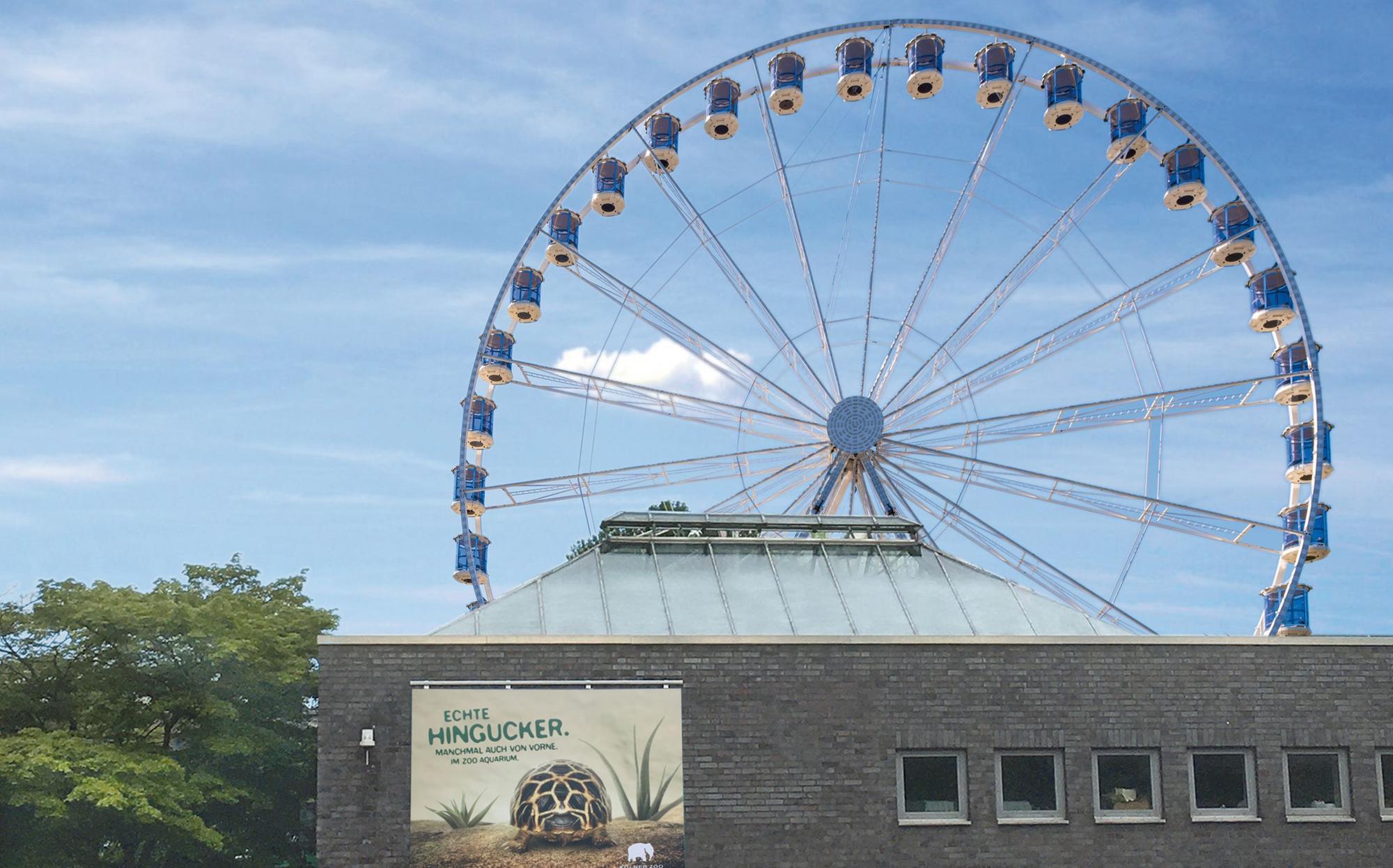 Auf der Wiese neben dem Kölner Zoo steht das Riesenrad der Bonner Schaustellerfirma Kipp und Sohn.
(Archivbild)