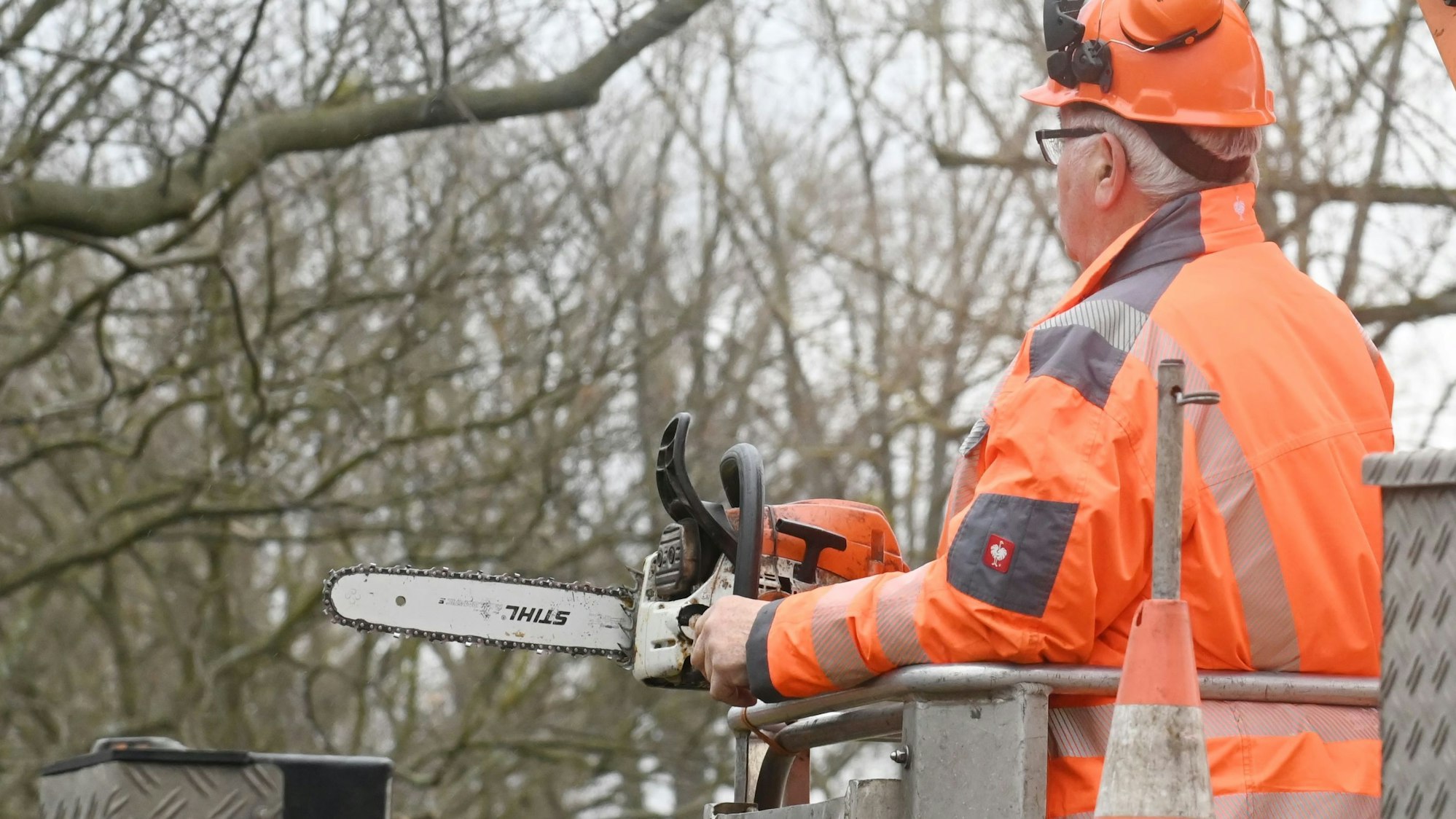 Das Foto zeigt einen Mann bei Baumfällarbeiten.