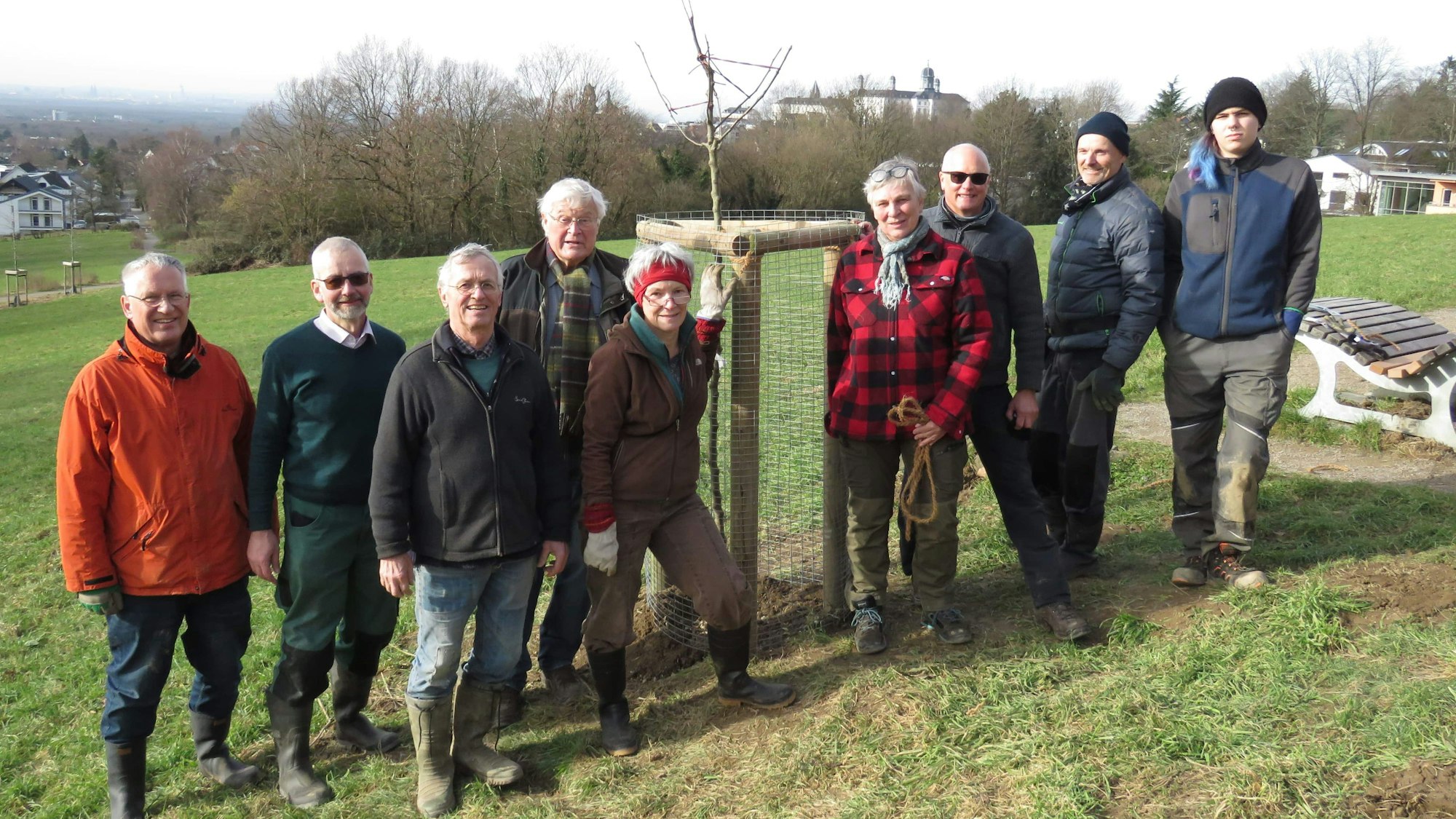 Bergischer Geschichtsverein erneuert verwüstete Streuobstwiese in Bensberg