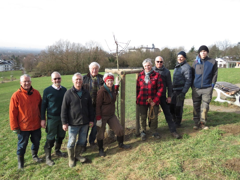 Bergisch Gladbach Neue Bäume für verwüstete Streuobstwiese Kölner