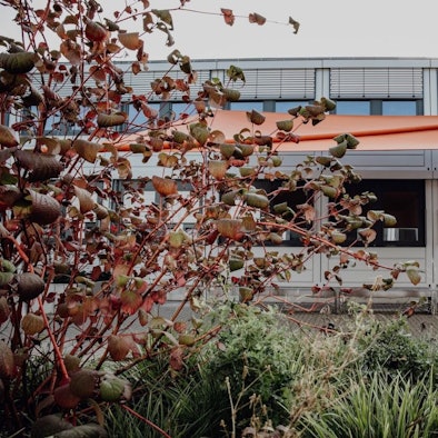 Eine Schule in Container-Bauweise