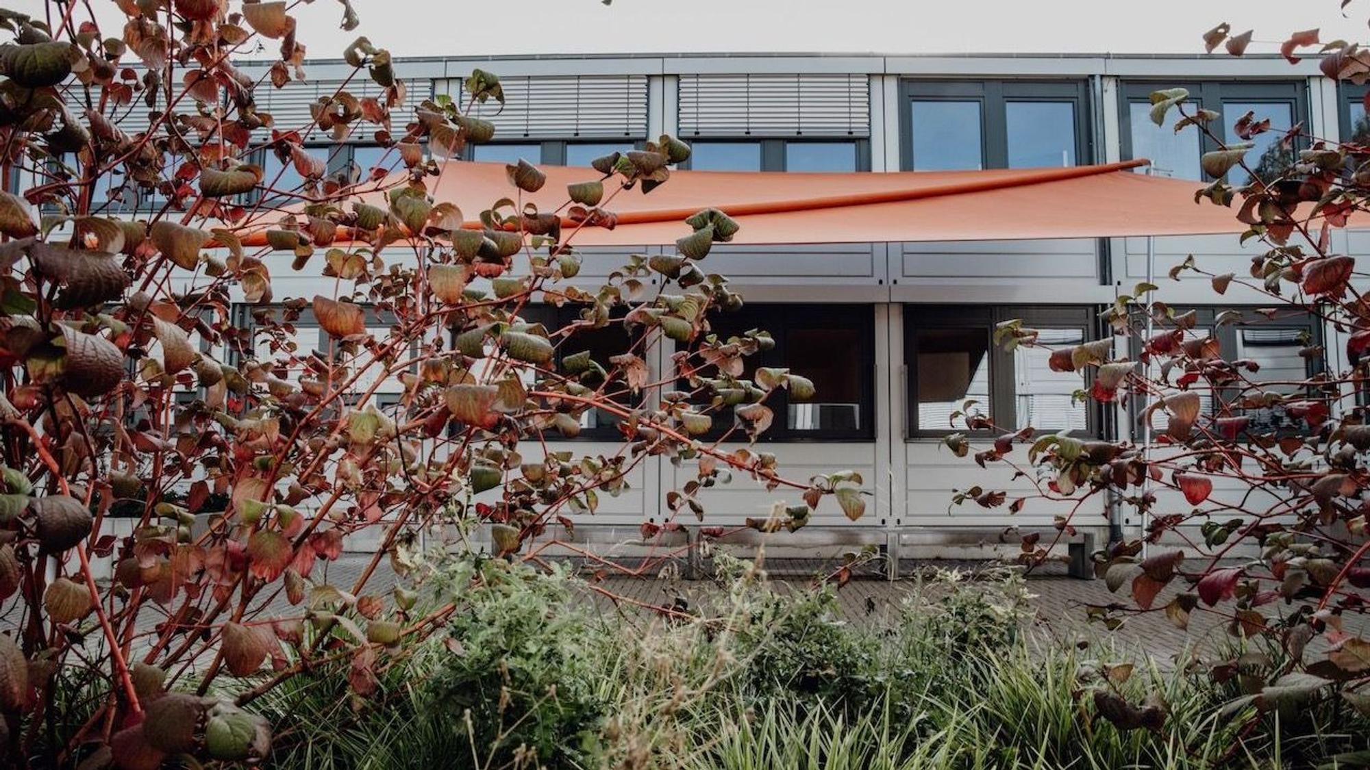 Das Interim des Gymnasiums Nippes im Toni-Steingass-Park
