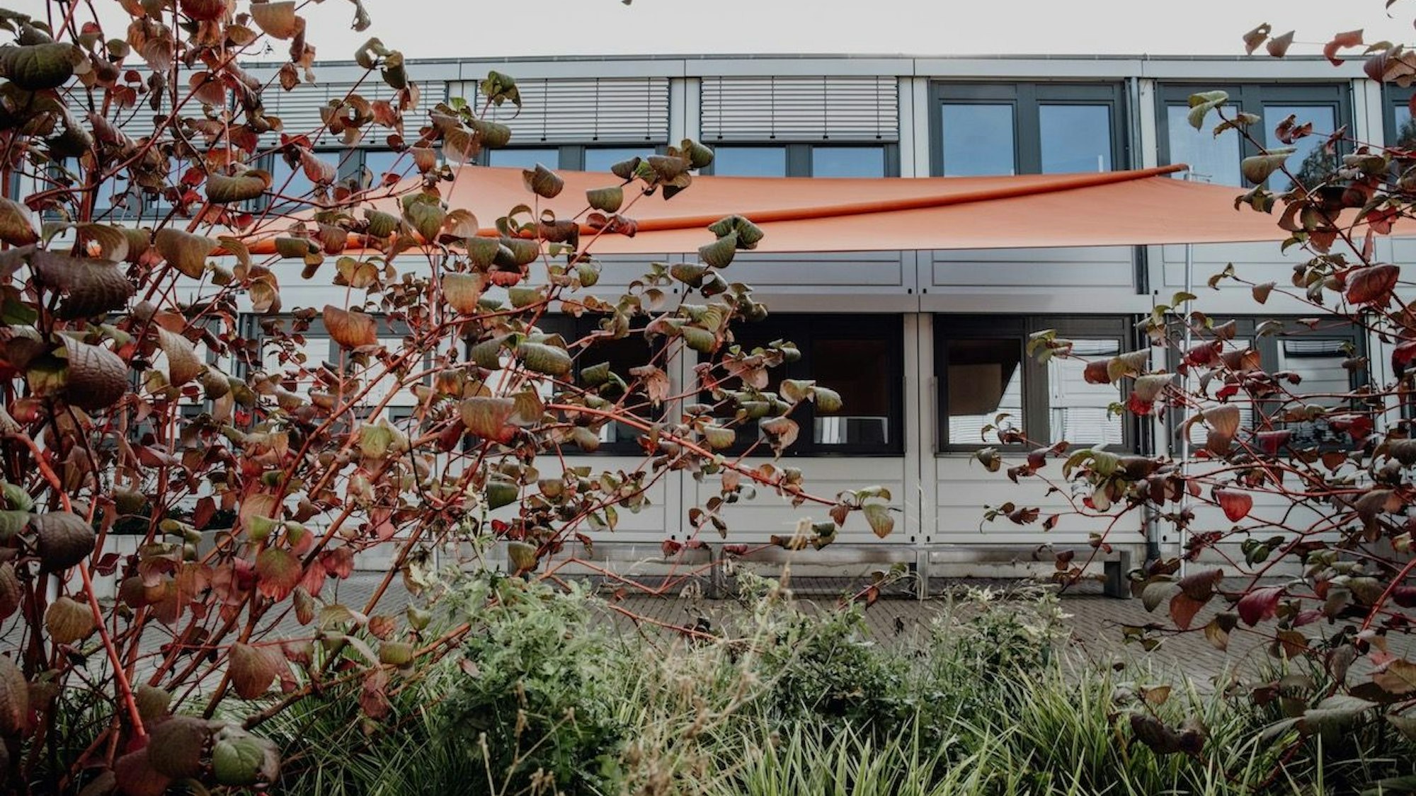 Das Interim des Gymnasiums Nippes im Toni-Steingass-Park