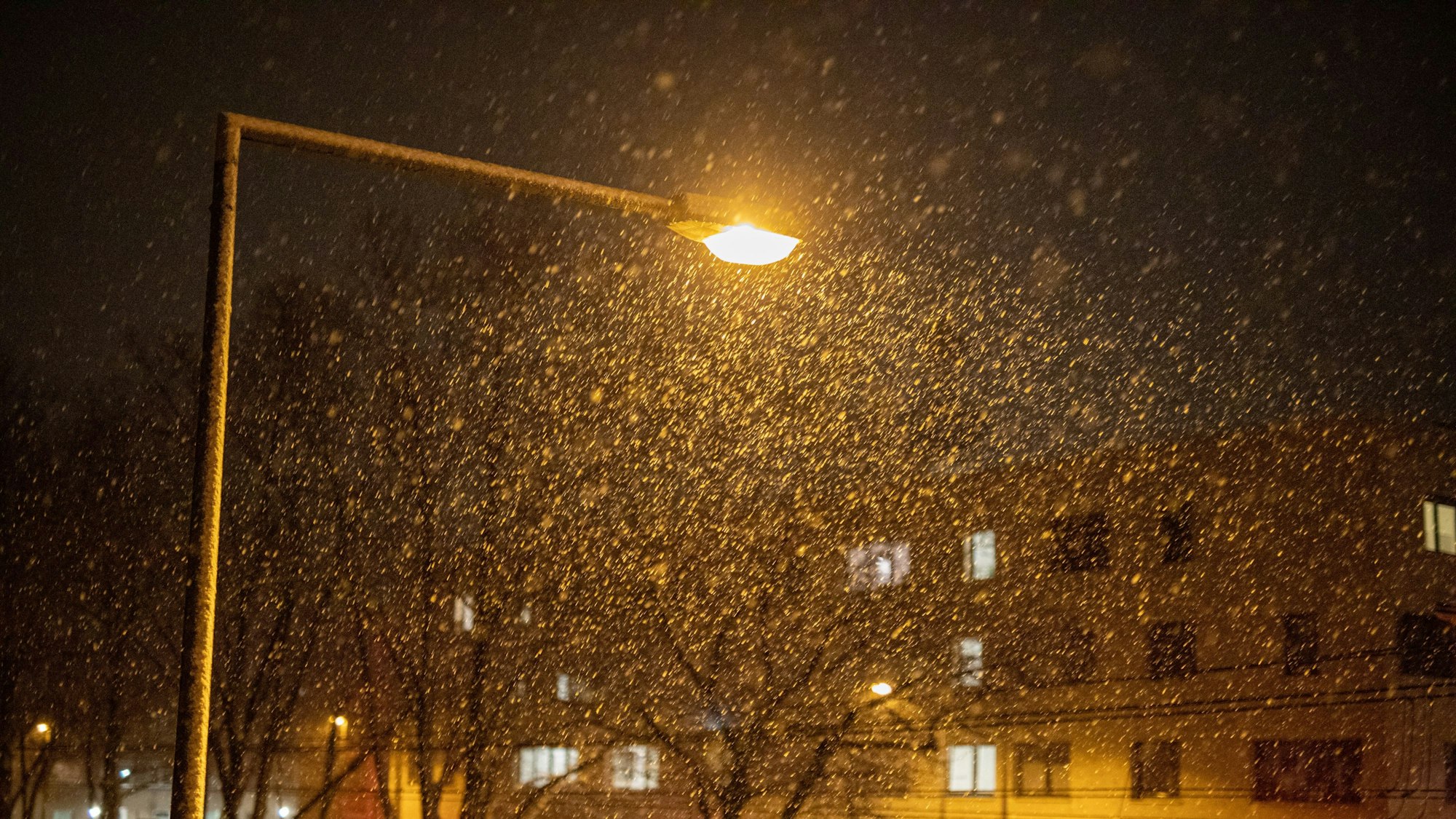Das Schneetreiben in Köln ist im Licht einer Straßenlaterne zu sehen. (Symbolbild)