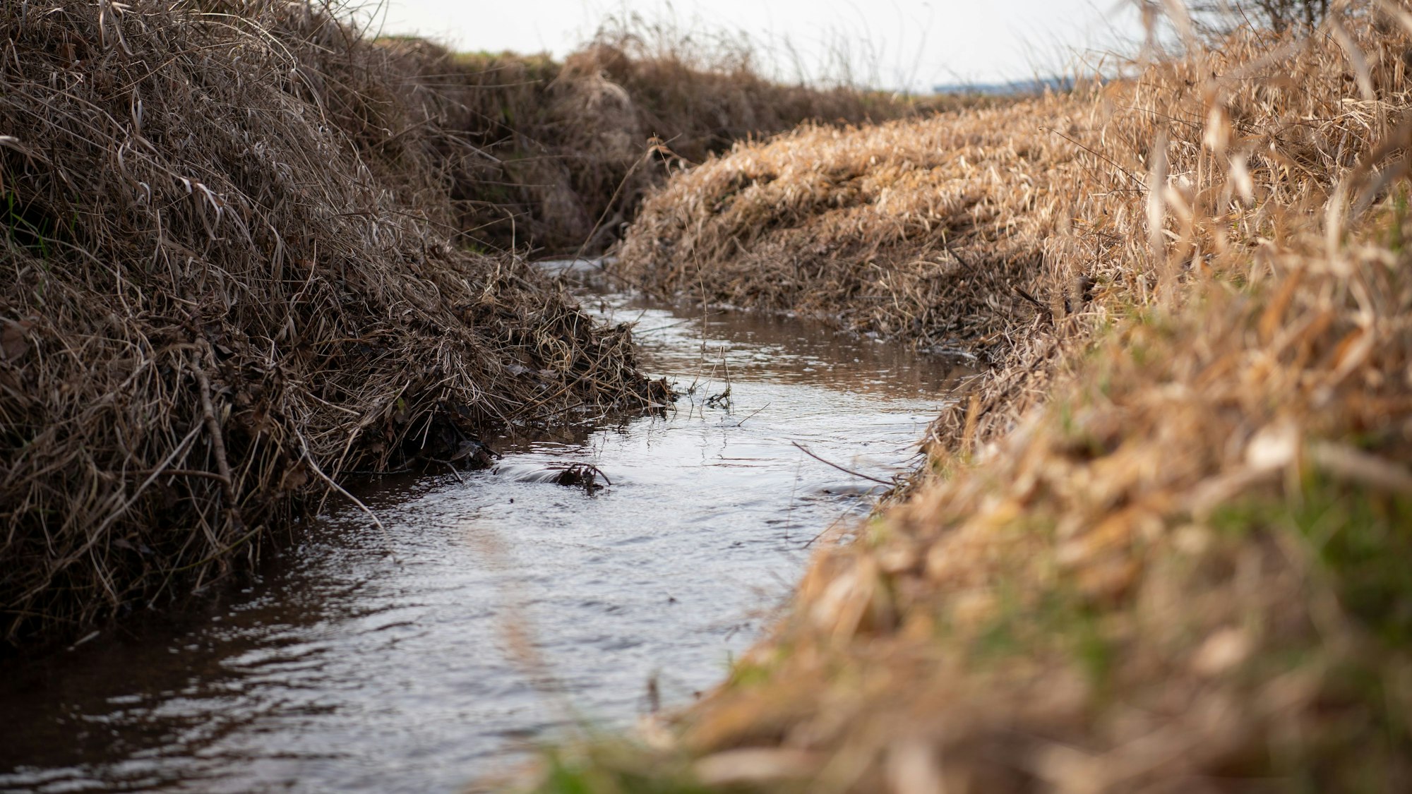 Das Bild zeigt einen Abschnitt des Vlattener Bachs.