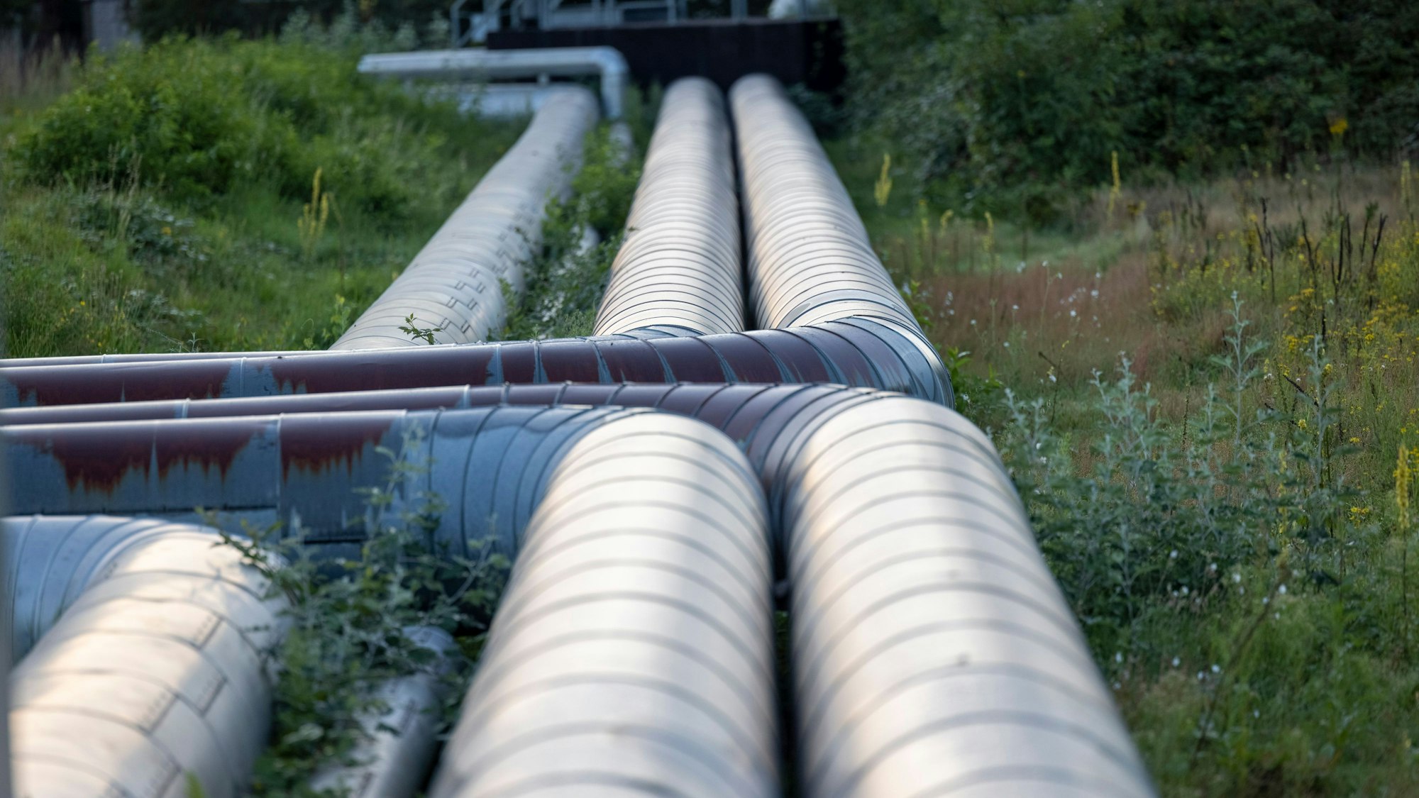 Fernwärme-Rohre verlaufen durch Grünflächen.