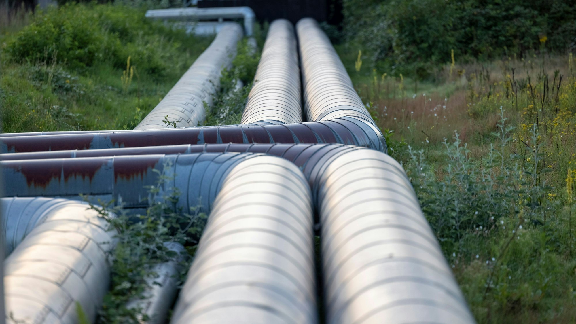 Das Foto zeigt Fernwärmerohre