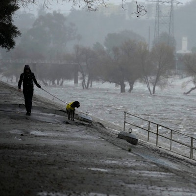 Ein Mann geht mit einem Hund entlang eines überfluteten Kanals in Los Angeles. Durch schwere Unwetter sind in der Stadt in wenigen Tagen mehr als 300 Liter Regen pro Quadratmeter gefallen.