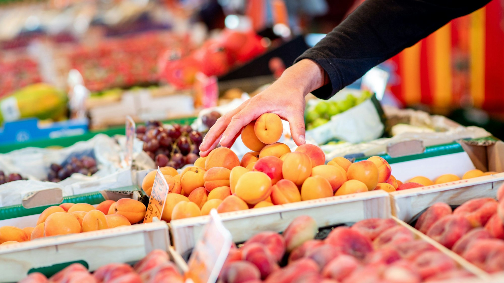 Ein Verkäufer greift an einem Obst- und Gemüsestand auf dem Wochenmarkt in eine Kiste mit Aprikosen.