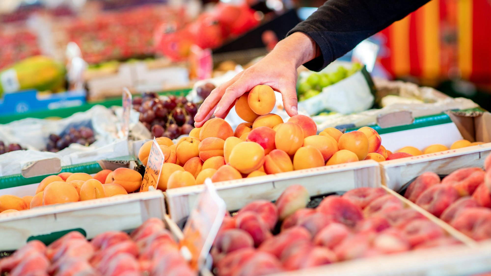 Ein Verkäufer greift an einem Obst- und Gemüsestand auf dem Wochenmarkt in eine Kiste mit Aprikosen.