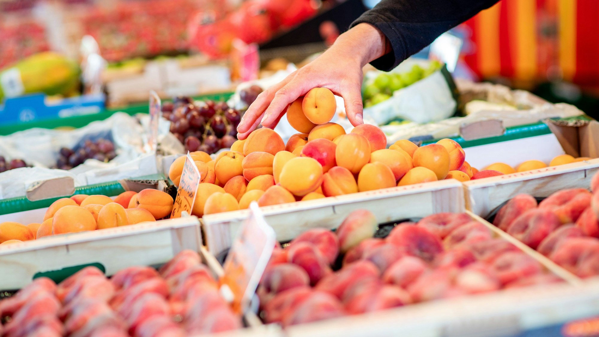 Frisches Obst auf einem Markt.