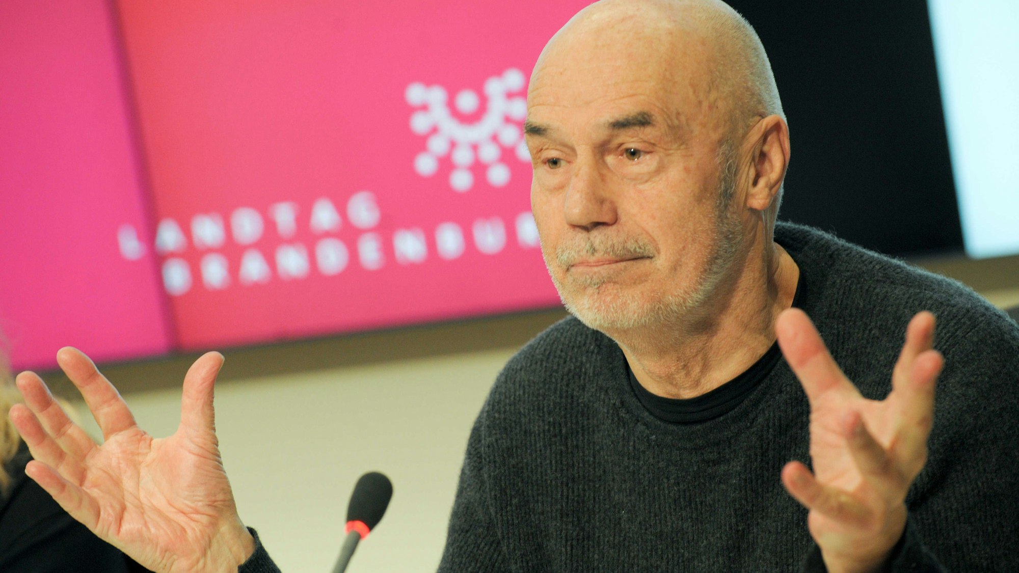 Peter Kulka im Jahr 2014.