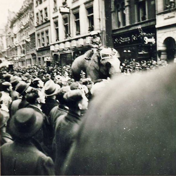 Eine Schwarz-Weiß-Fotografie zeigt den Rosenmontagsumzug, inmitten der Menge reitet ein Mann auf einem Elefanten.