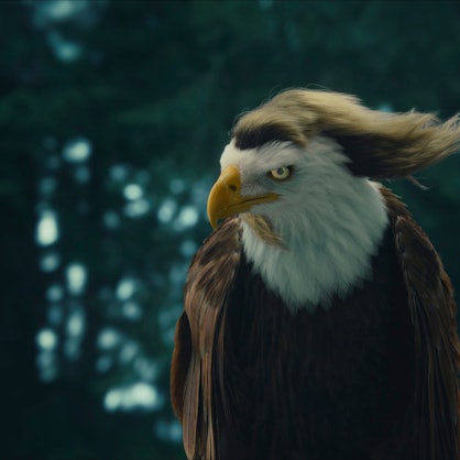 This photo provided by Kawasaki shows the Kawasaki 2024 Super Bowl NFL football spot. ( Kawasaki via AP)