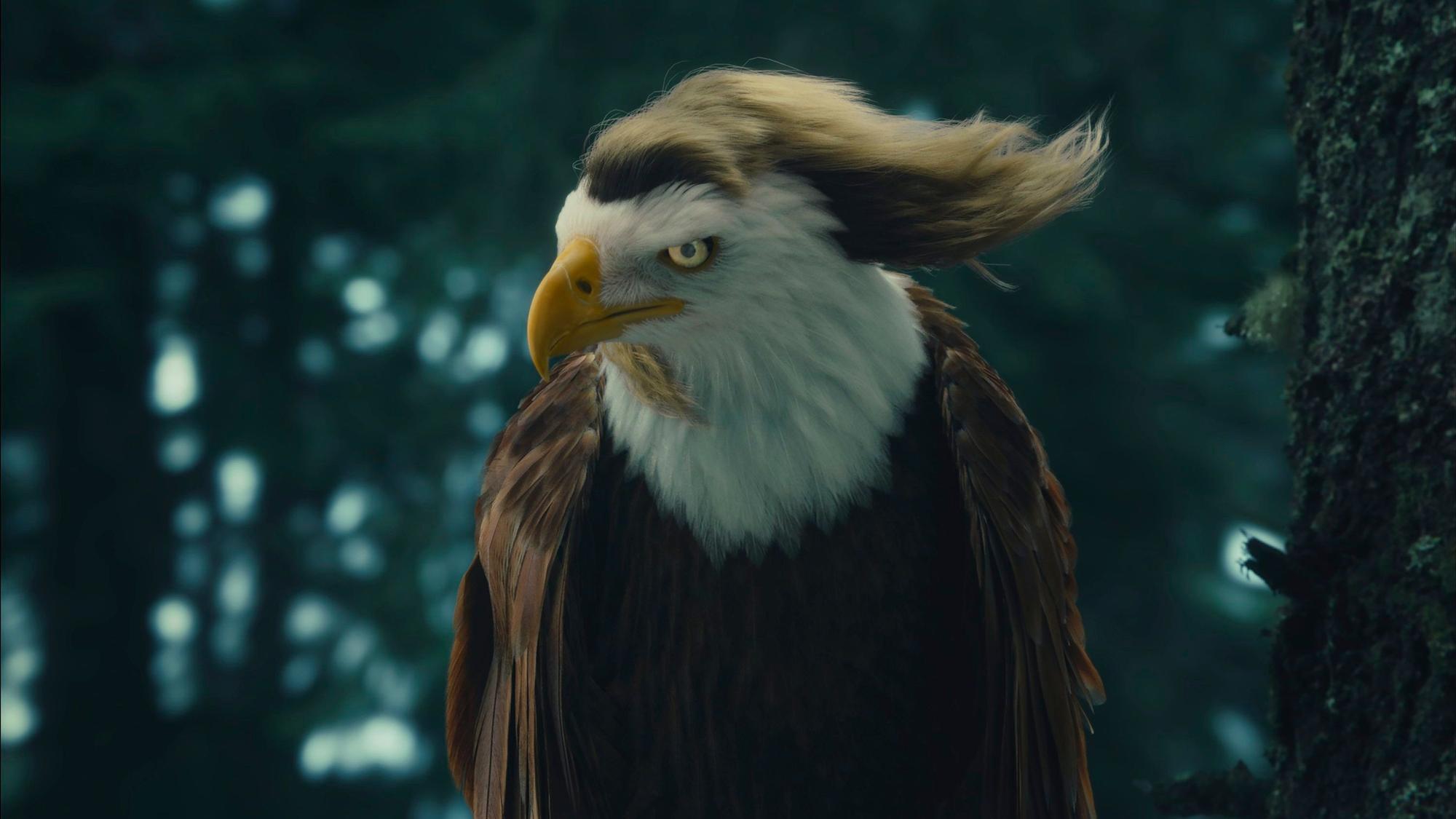This photo provided by Kawasaki shows the Kawasaki 2024 Super Bowl NFL football spot. ( Kawasaki via AP)