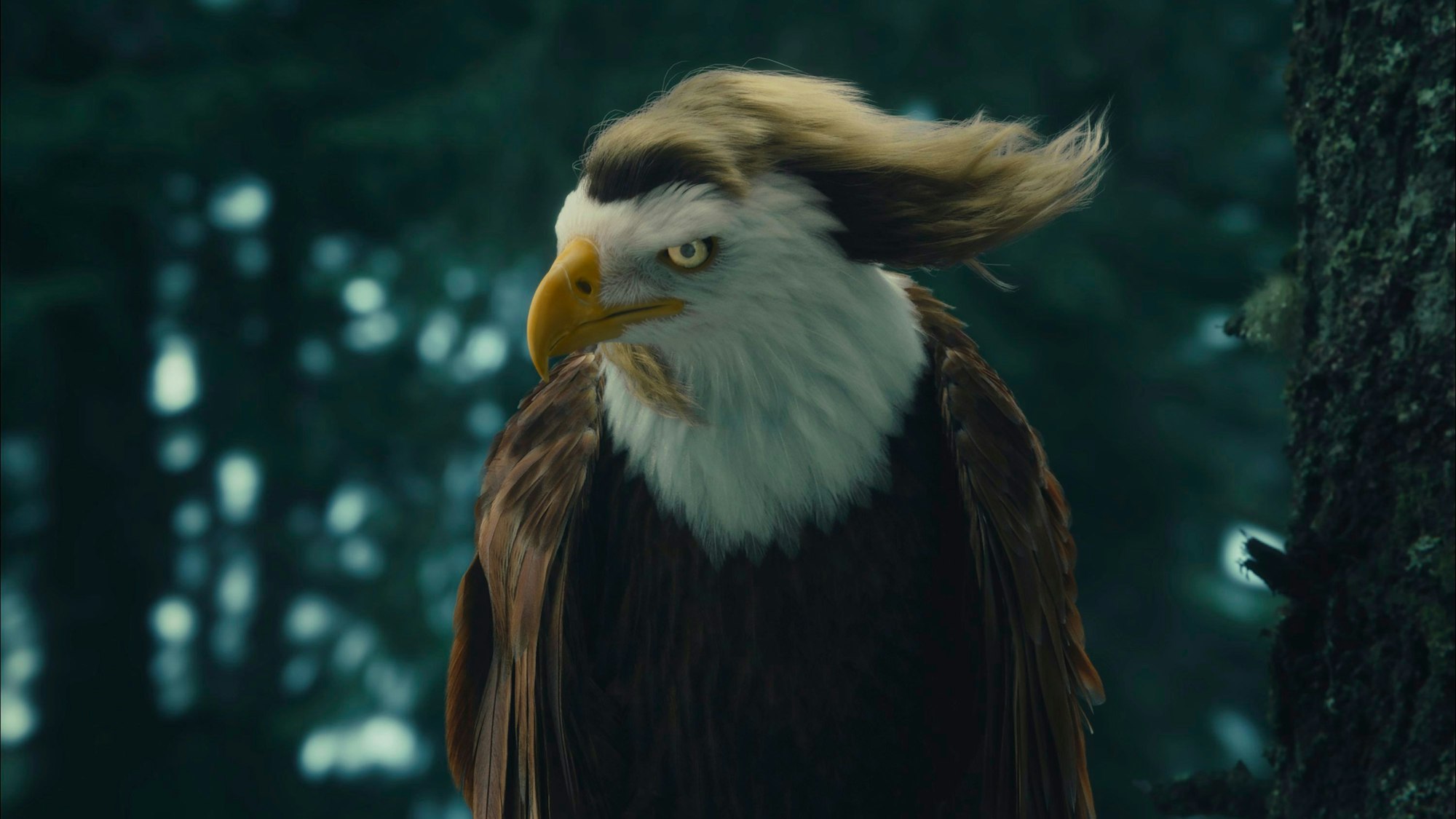 This photo provided by Kawasaki shows the Kawasaki 2024 Super Bowl NFL football spot. ( Kawasaki via AP)