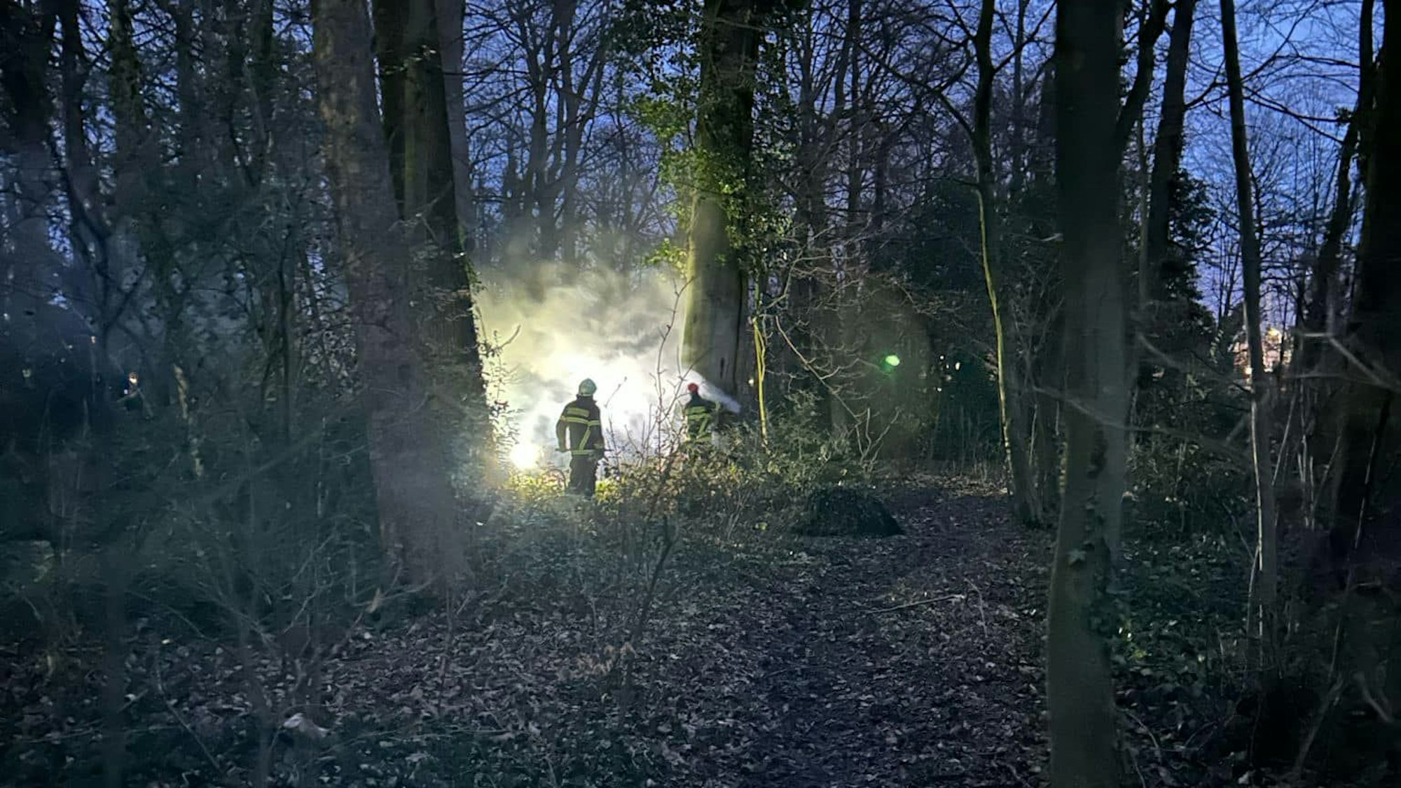 Feuerwehrleute löschen das Feuer in dem Park.