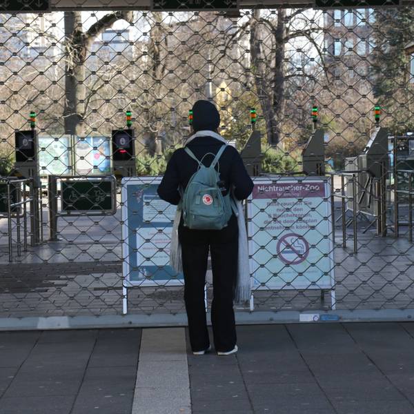13.02.2024, Köln: Ein Hinweisschild vor dem Haupteingang des Kölner Zoos vertröstet die Besucher. Wegen eines Falls von Geflügelgrippe bleibt der Tierpark bis auf weiteres geschlossen. Foto: Arton Krasniqi