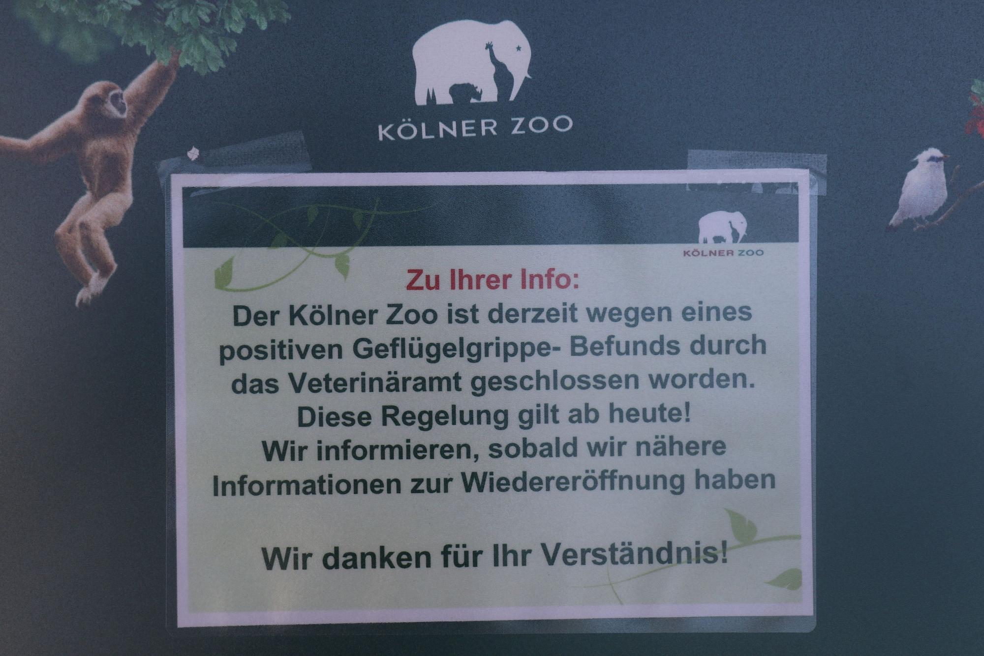 13.02.2024, Köln: Ein Hinweisschild vor dem Haupteingang des Kölner Zoos vertröstet die Besucher. Wegen eines Falls von Geflügelgrippe bleibt der Tierpark bis auf weiteres geschlossen. Foto: Arton Krasniqi