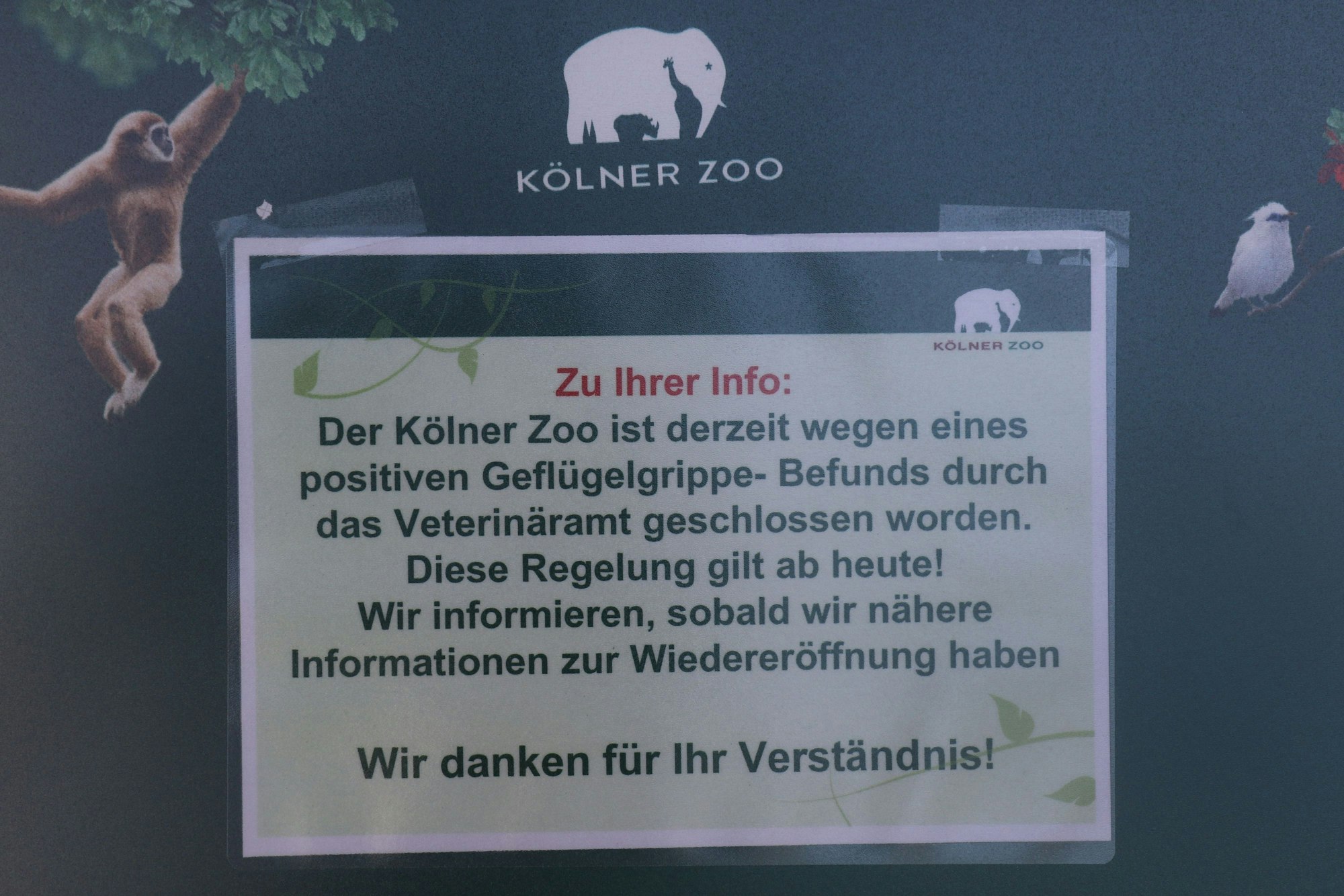 13.02.2024, Köln: Ein Hinweisschild vor dem Haupteingang des Kölner Zoos vertröstet die Besucher. Wegen eines Falls von Geflügelgrippe bleibt der Tierpark bis auf weiteres geschlossen. Foto: Arton Krasniqi