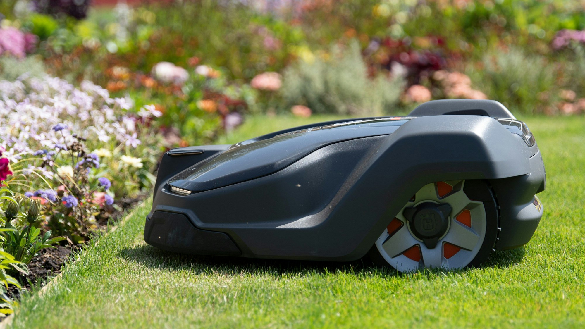 Ein Mähroboter von Husqvarna fährt auf der Landesgartenschau über eine Wiese und kehrt vor der Rasenkante um.
Mähroboter sollten nur tagsüber fahren, fordern Fachleute aus der Wissenschaft.