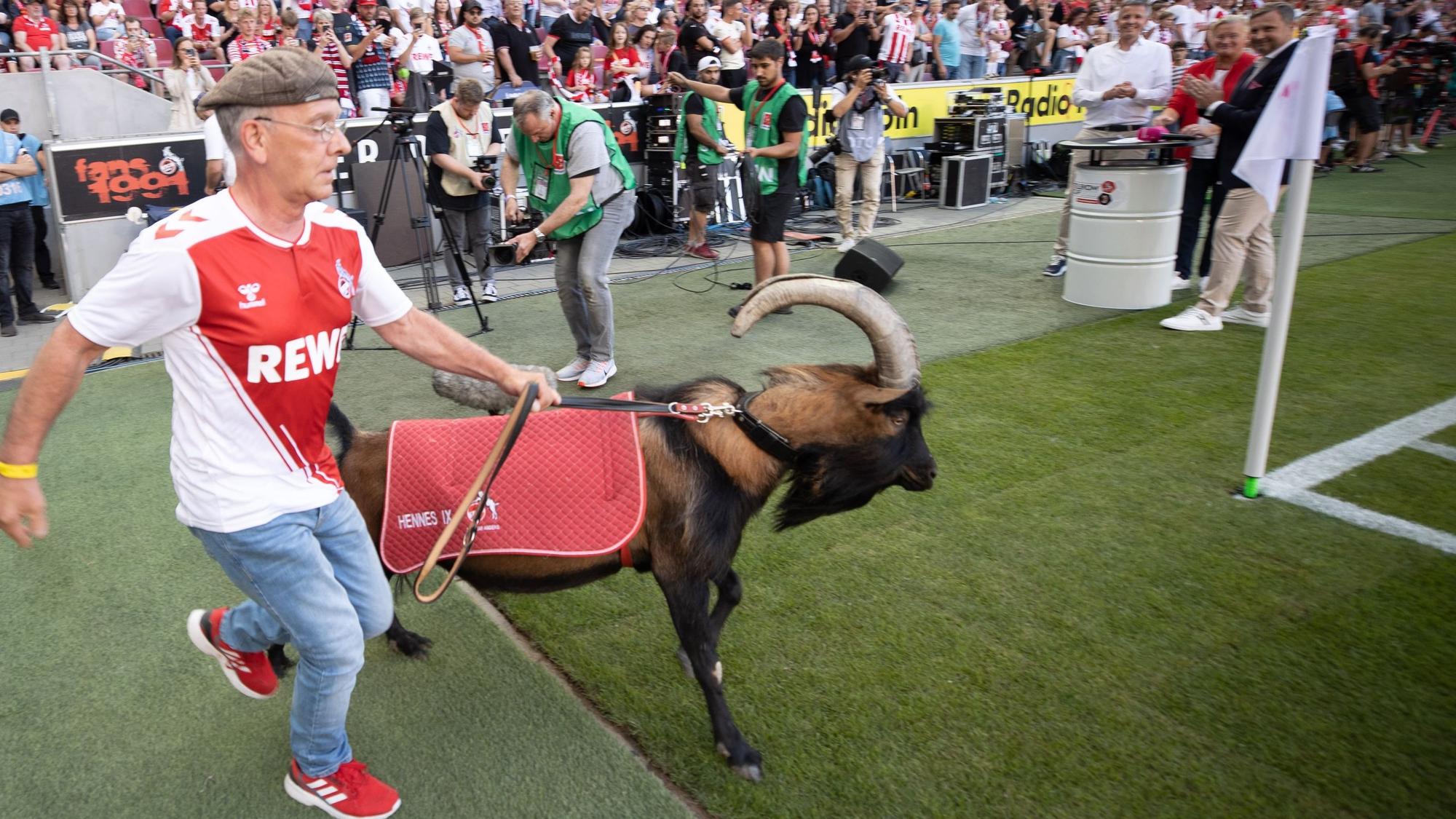 Hennes zieht Ingo auf den Platz.