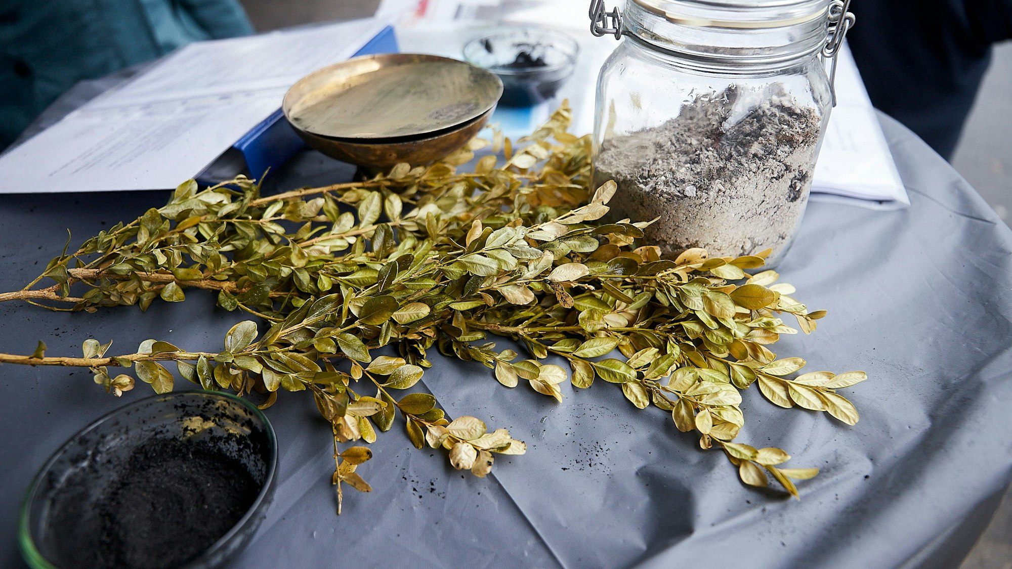 Auf einem Stehtisch liegen eine Schale mit Asche, Palmzweige und einige Flyer.